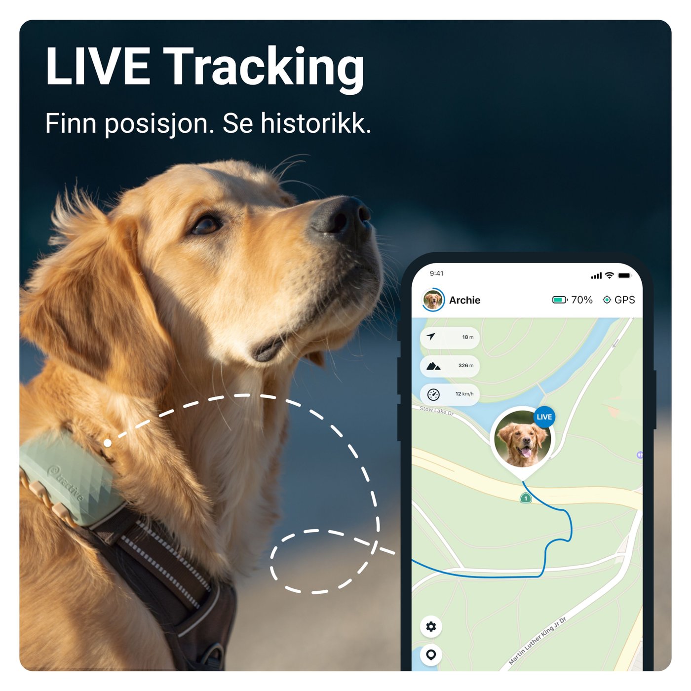 Tractive DOG XL GPS-sporingsbrikke for hund