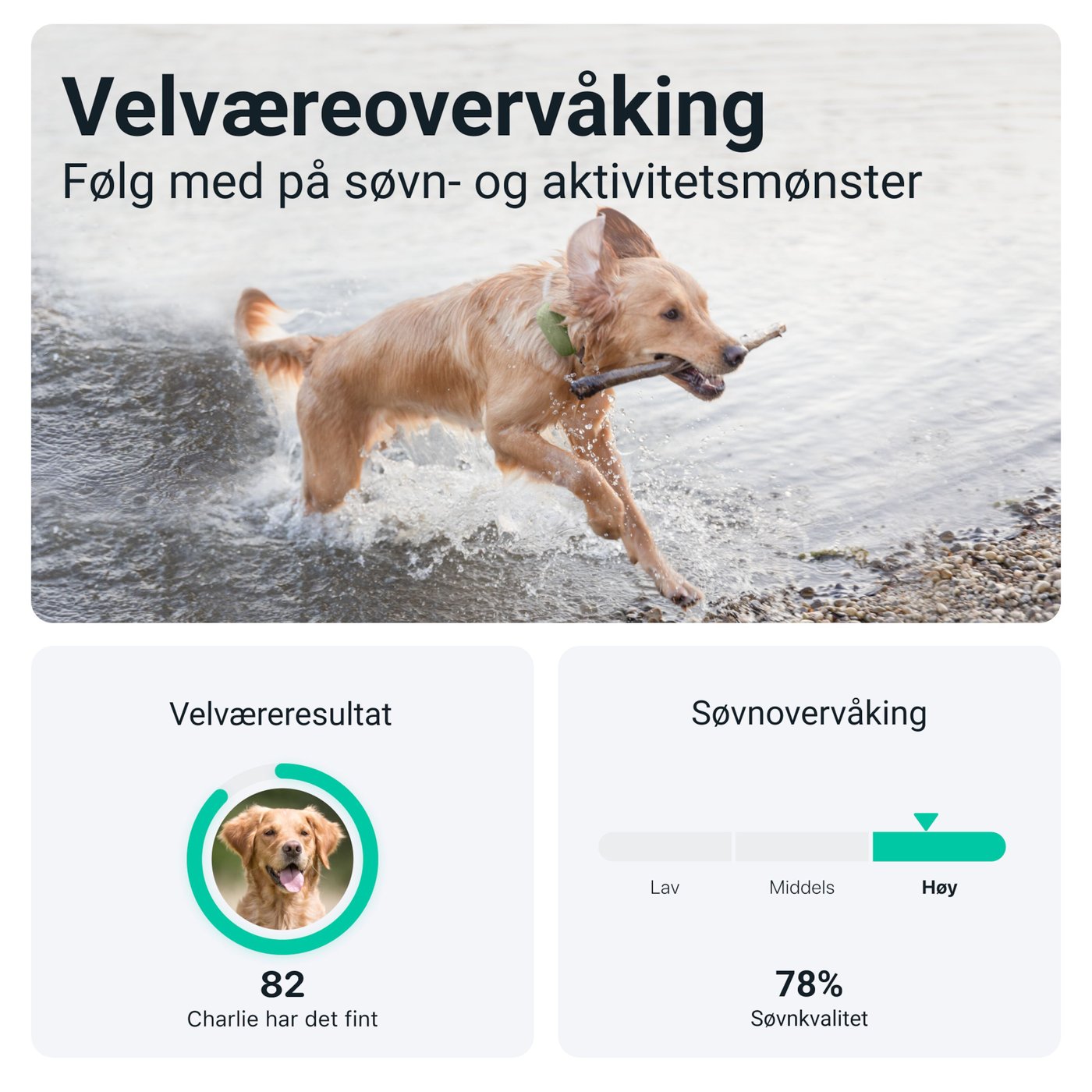 Tractive DOG XL GPS-sporingsbrikke for hund