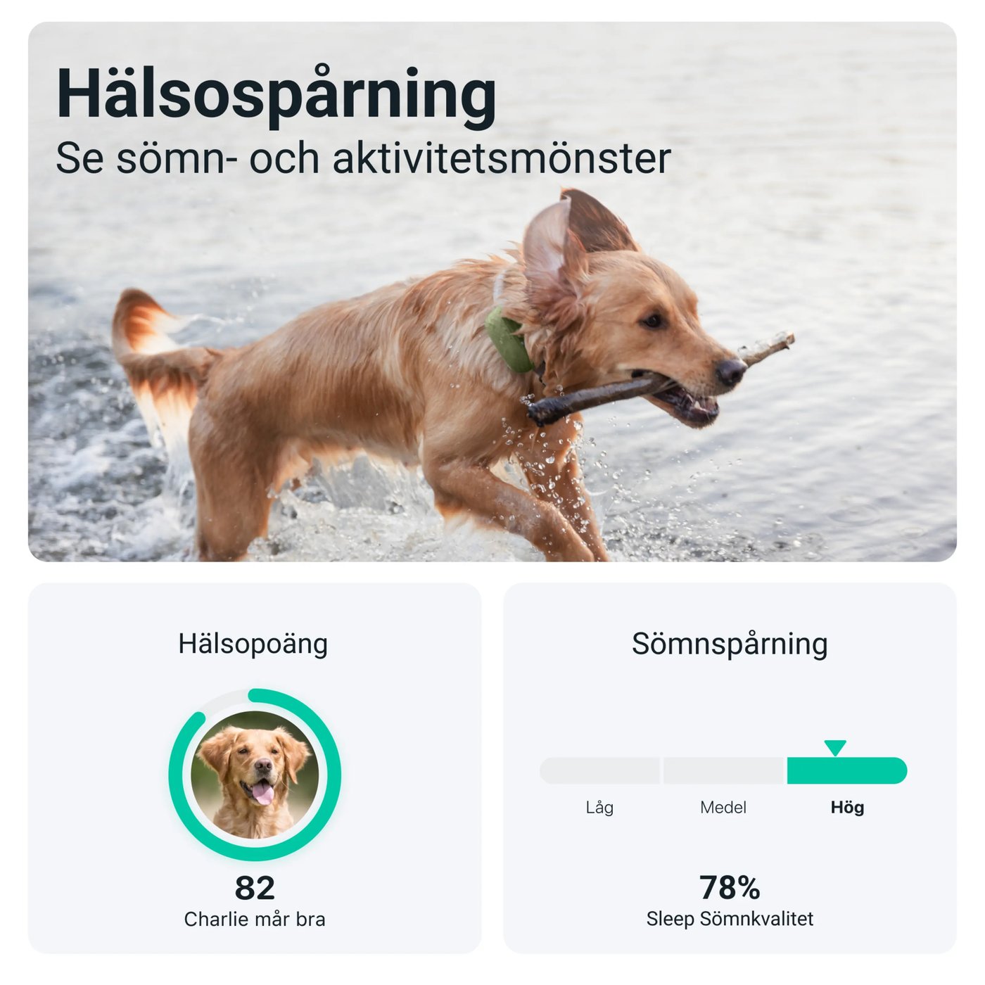 Tractive DOG XL GPS-tracker för hund
