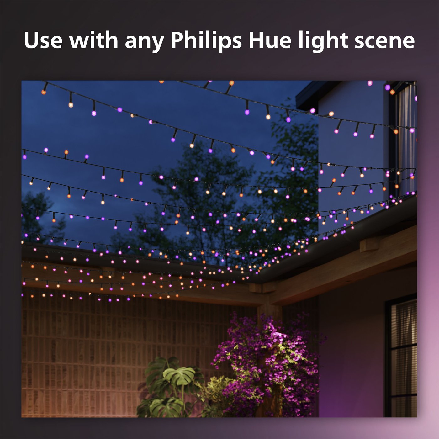 Philips Hue Festavia Ljusslinga 250 LED