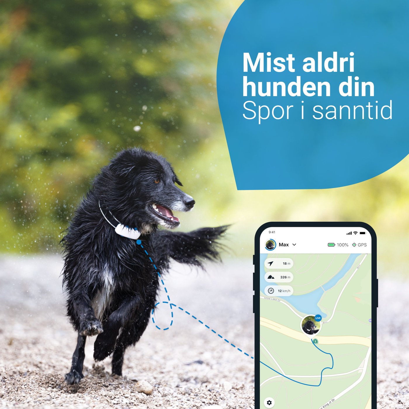Tractive GPS DOG 4 Hundesporer og aktivitetsovervåker