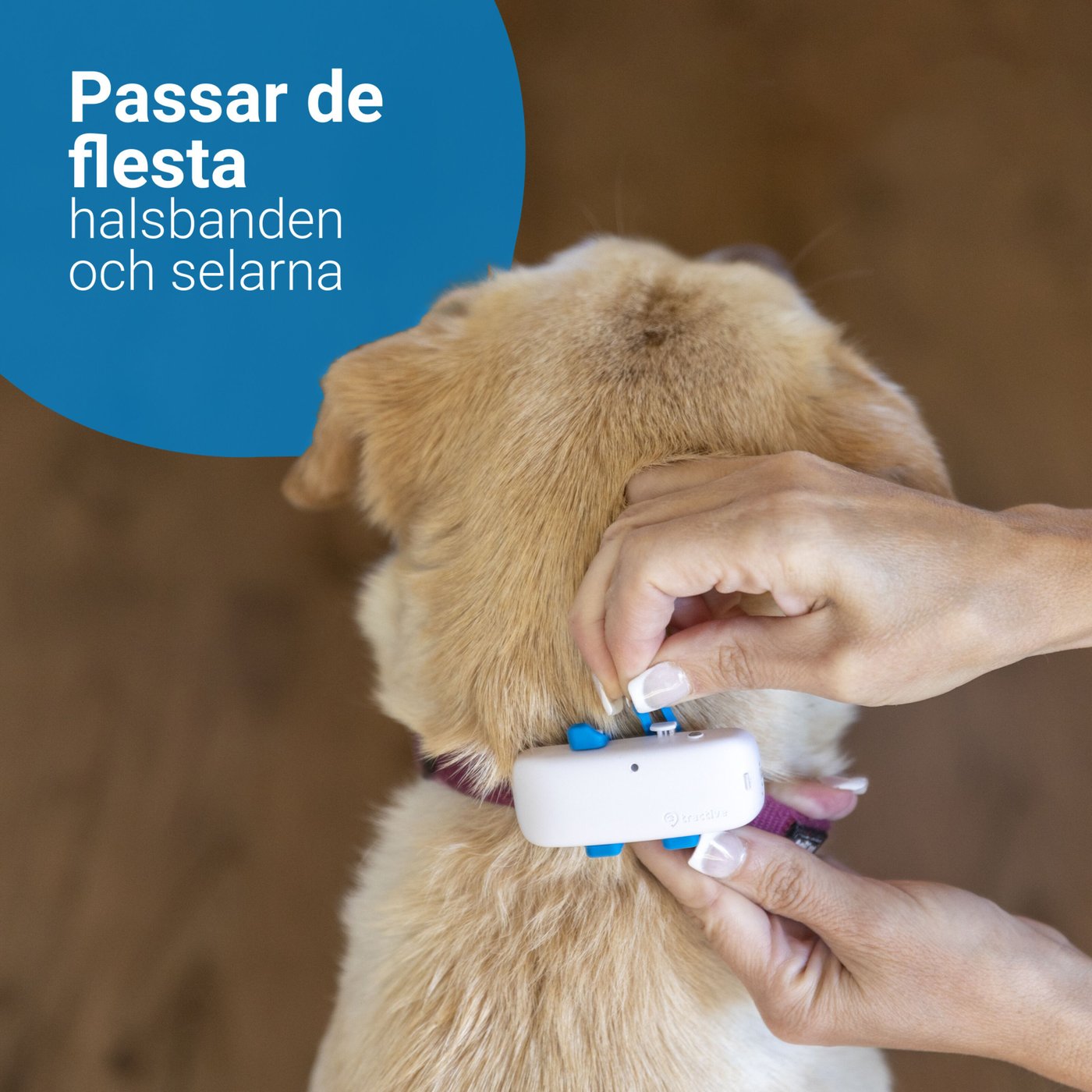 Tractive GPS DOG 4 Hund-GPS och aktivitetsspårning