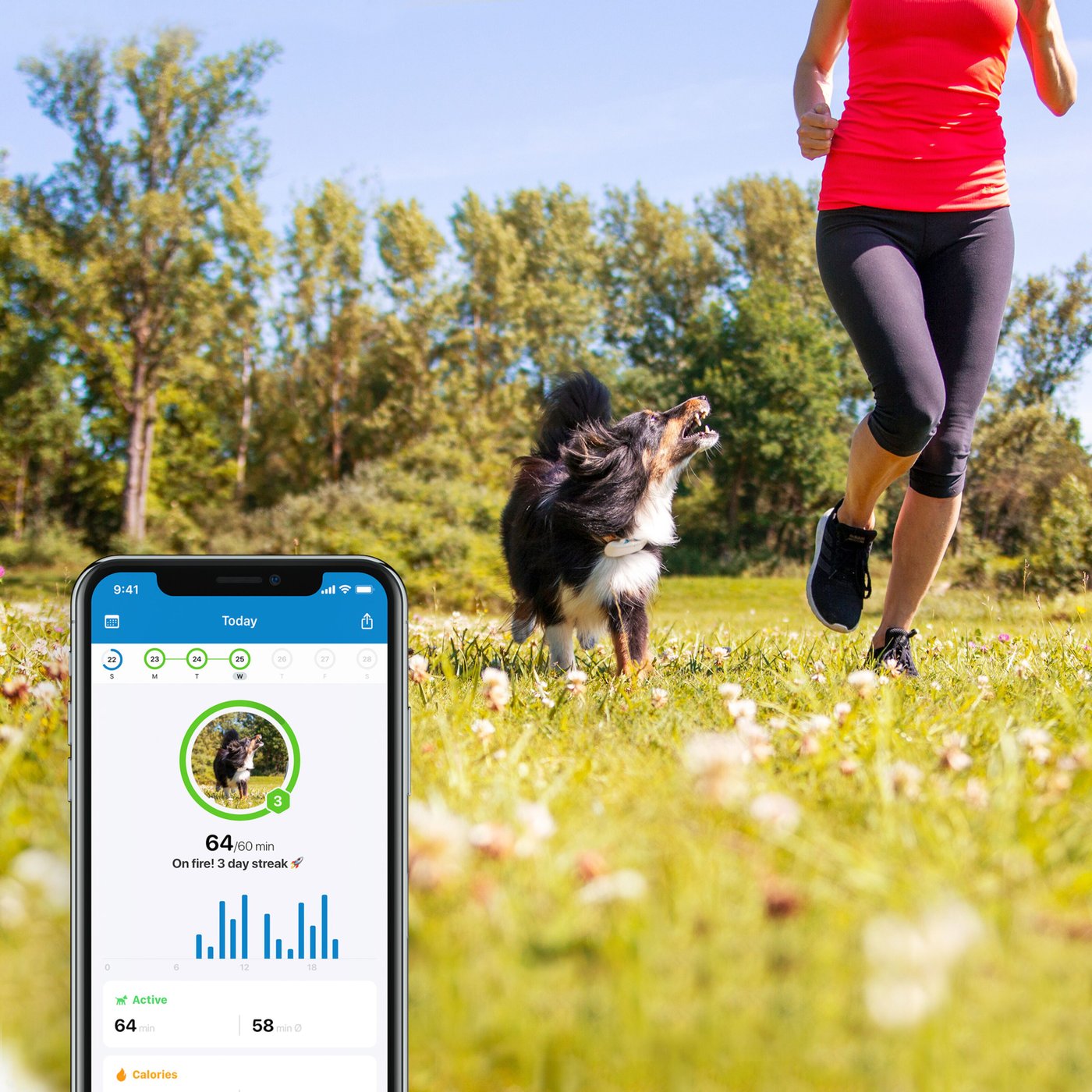Tractive GPS DOG 4 Hund-GPS och aktivitetsspårning