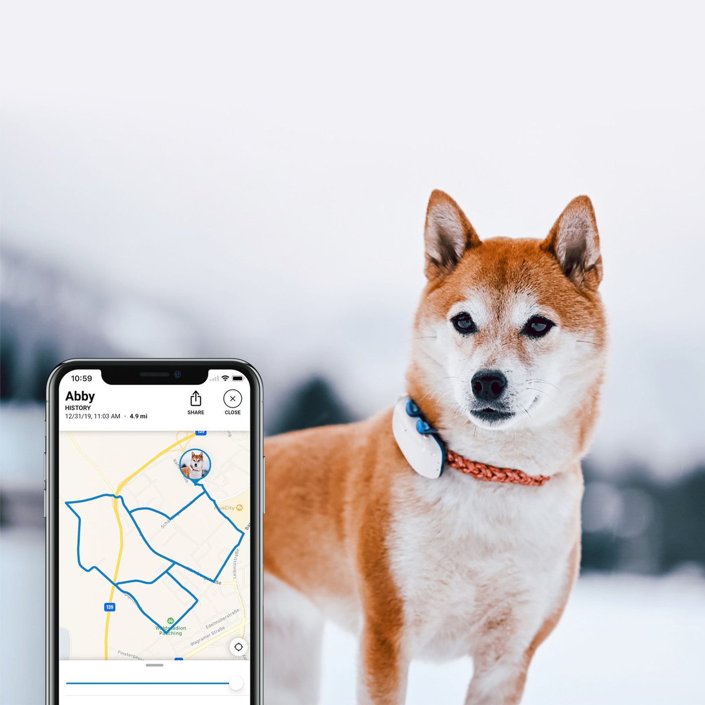Tractive GPS DOG 4 Hund-GPS och aktivitetsspårning