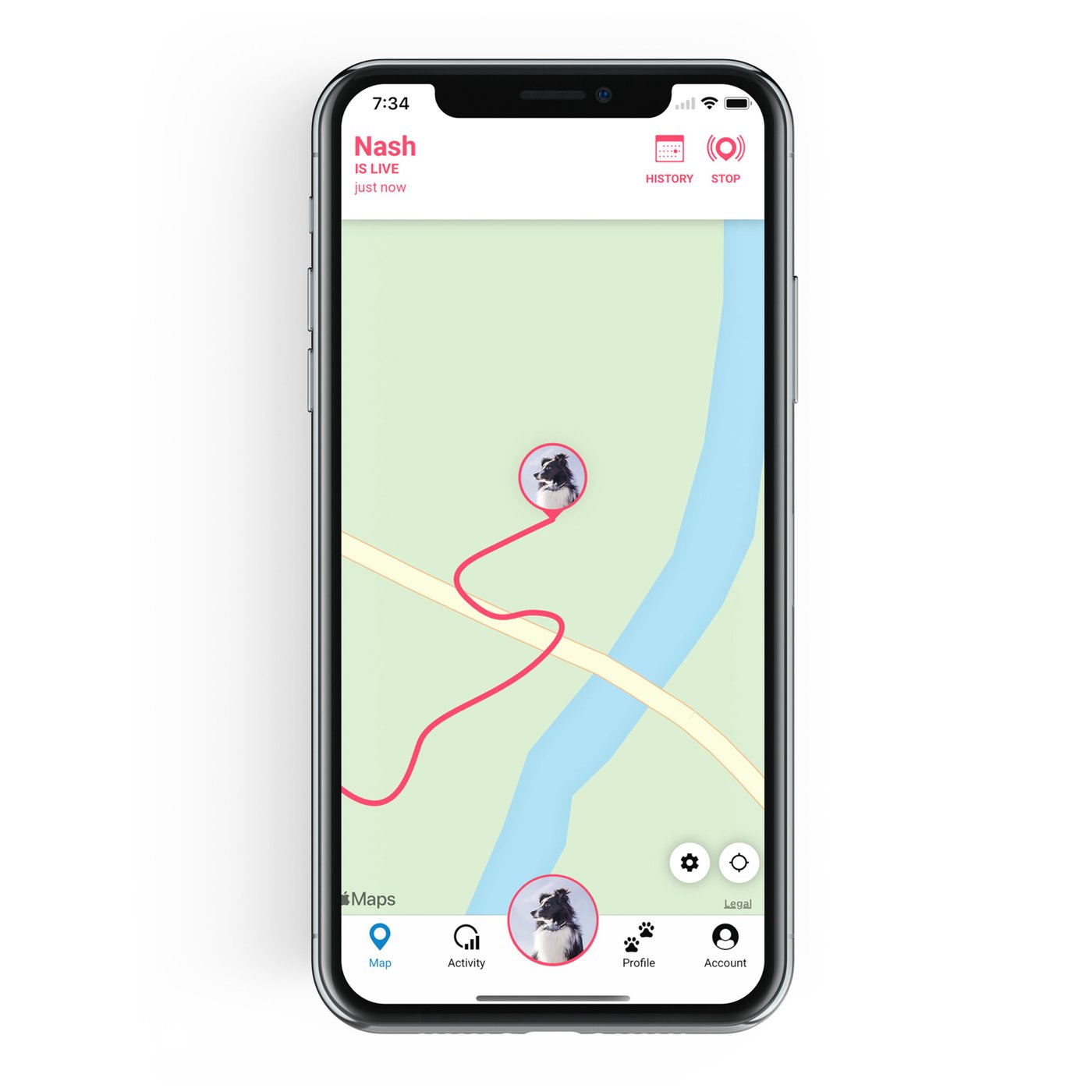 Tractive GPS DOG 4 Hund-GPS och aktivitetsspårning