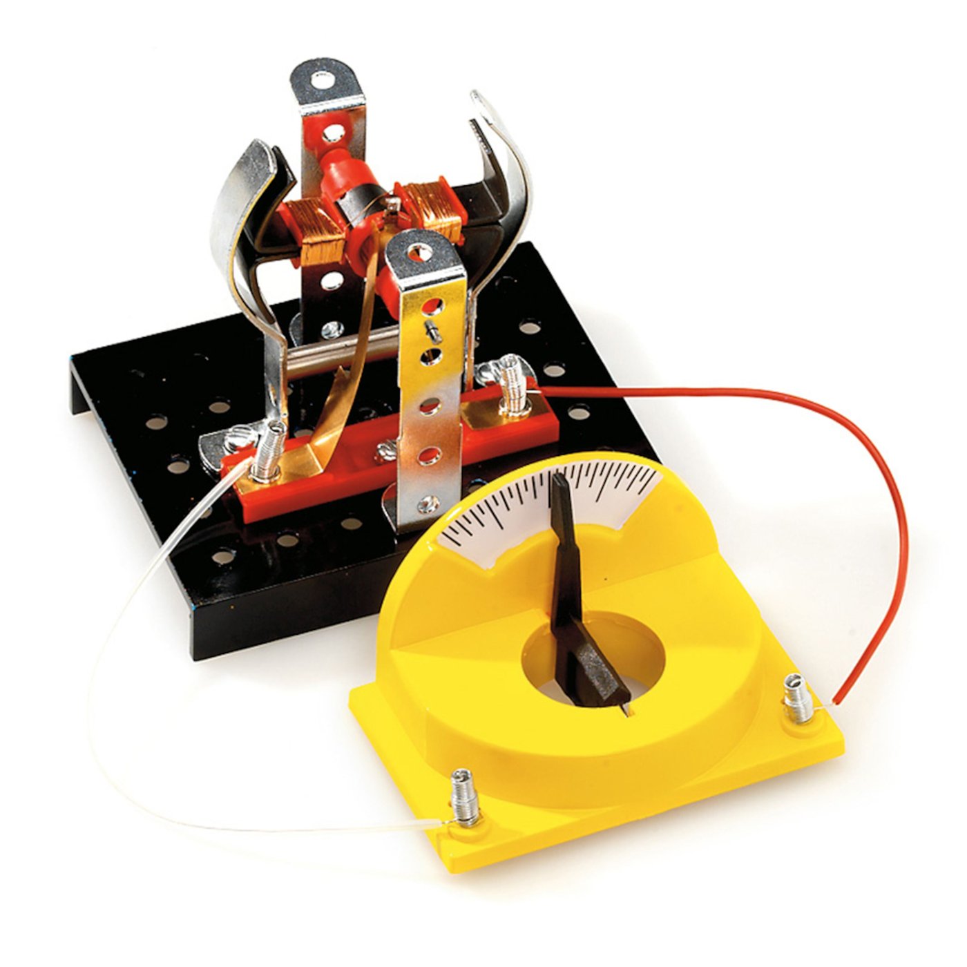 Alga Science 101 Experiment