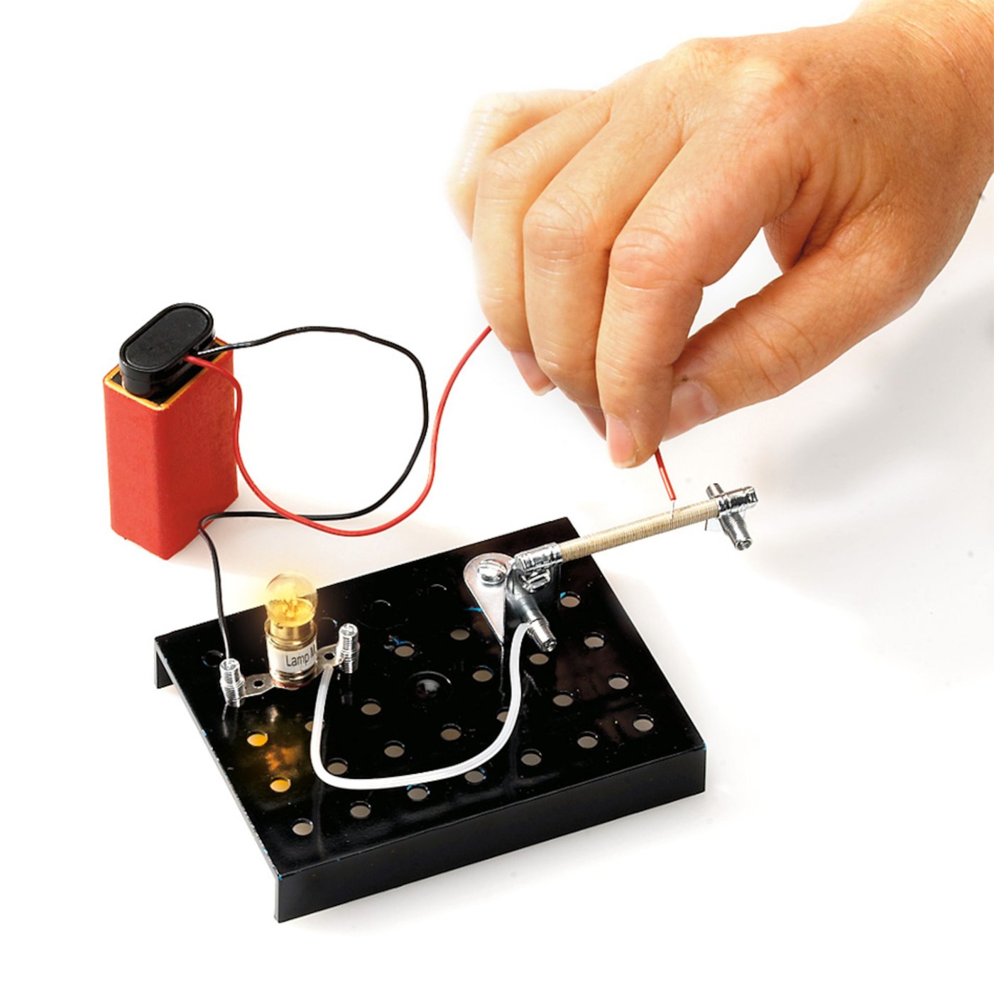 Alga Science 101 Experiment