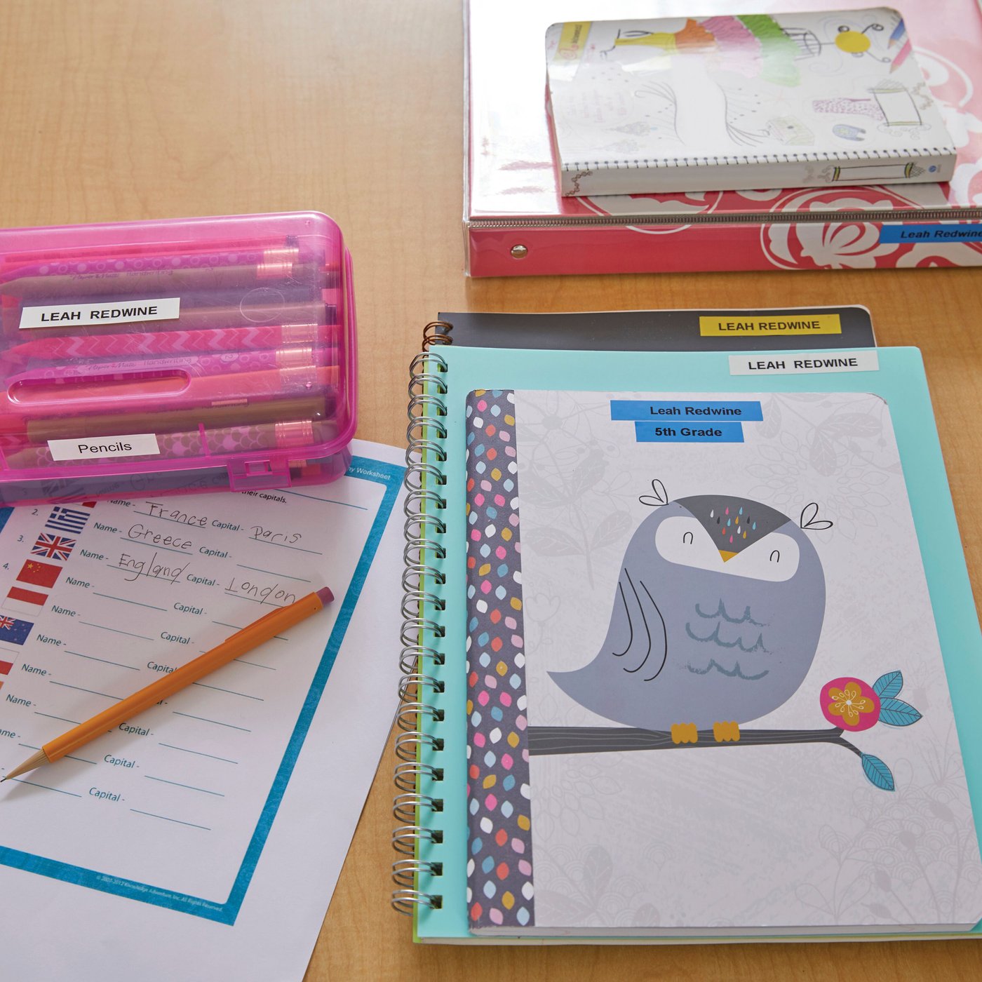 Dymo Letratag LT-100H Märkmaskin