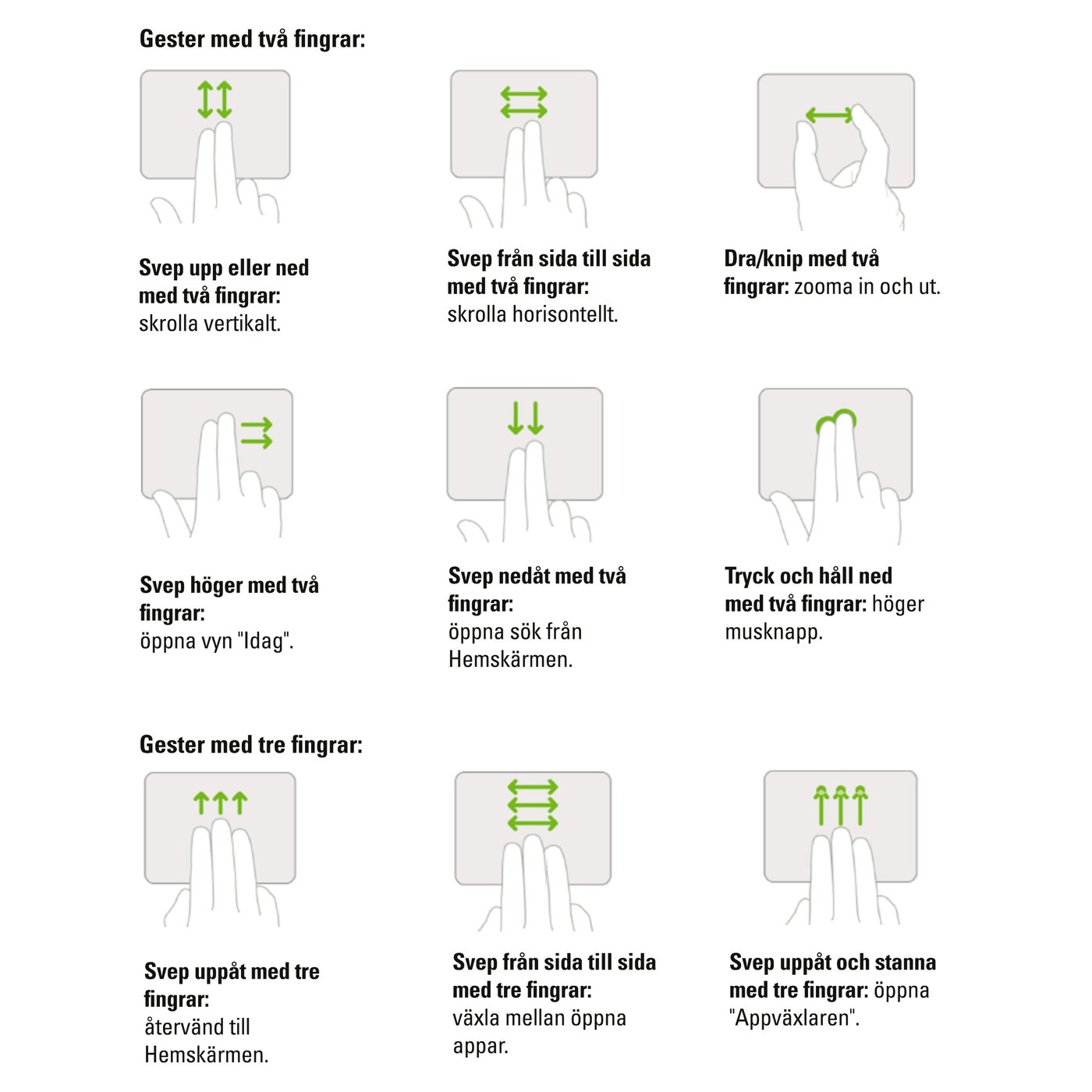 Linocell Premium Magnetiskt Tangentbordsfodral för iPad 10,9" (Gen. 10)