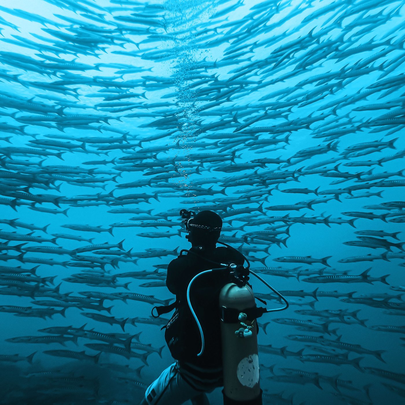 Gopro HERO 11 Black Actionkamera