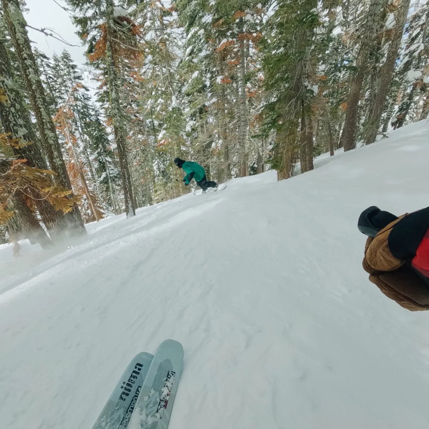 Gopro Chesty Bröstsele