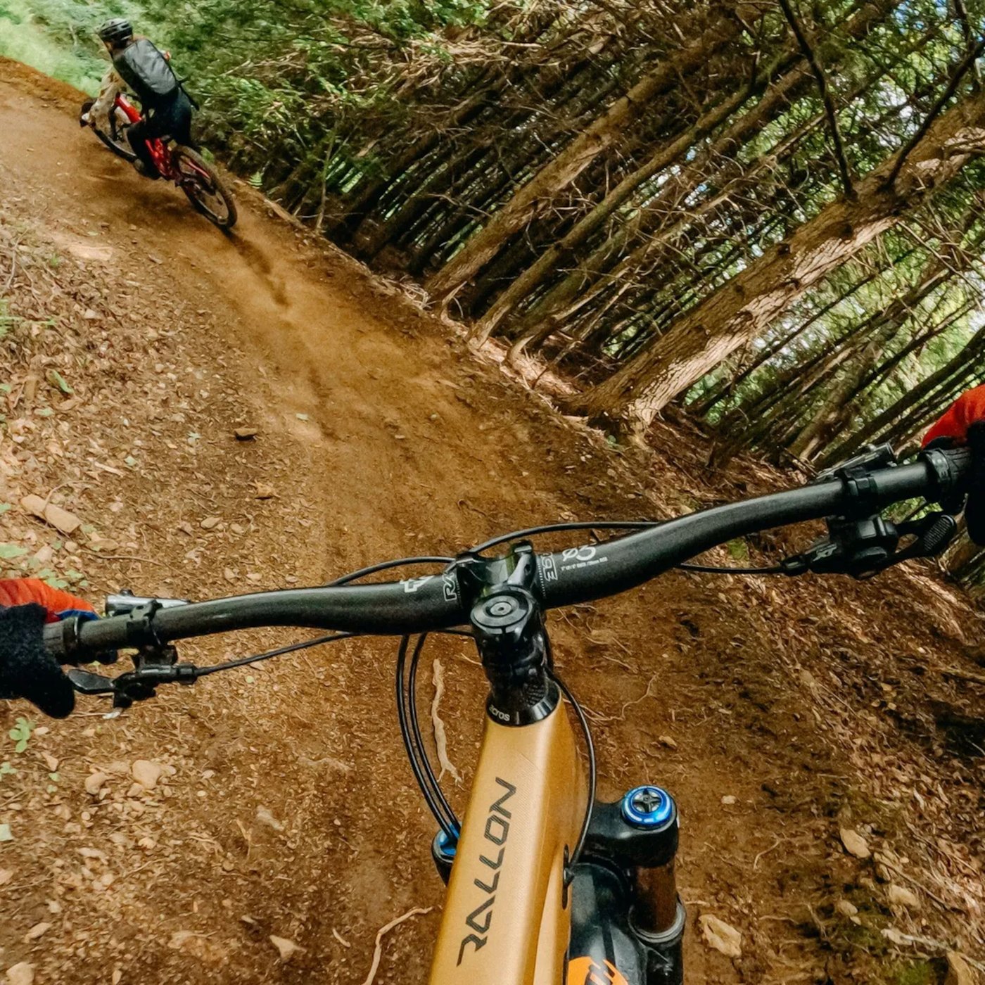 Gopro Chesty Bröstsele