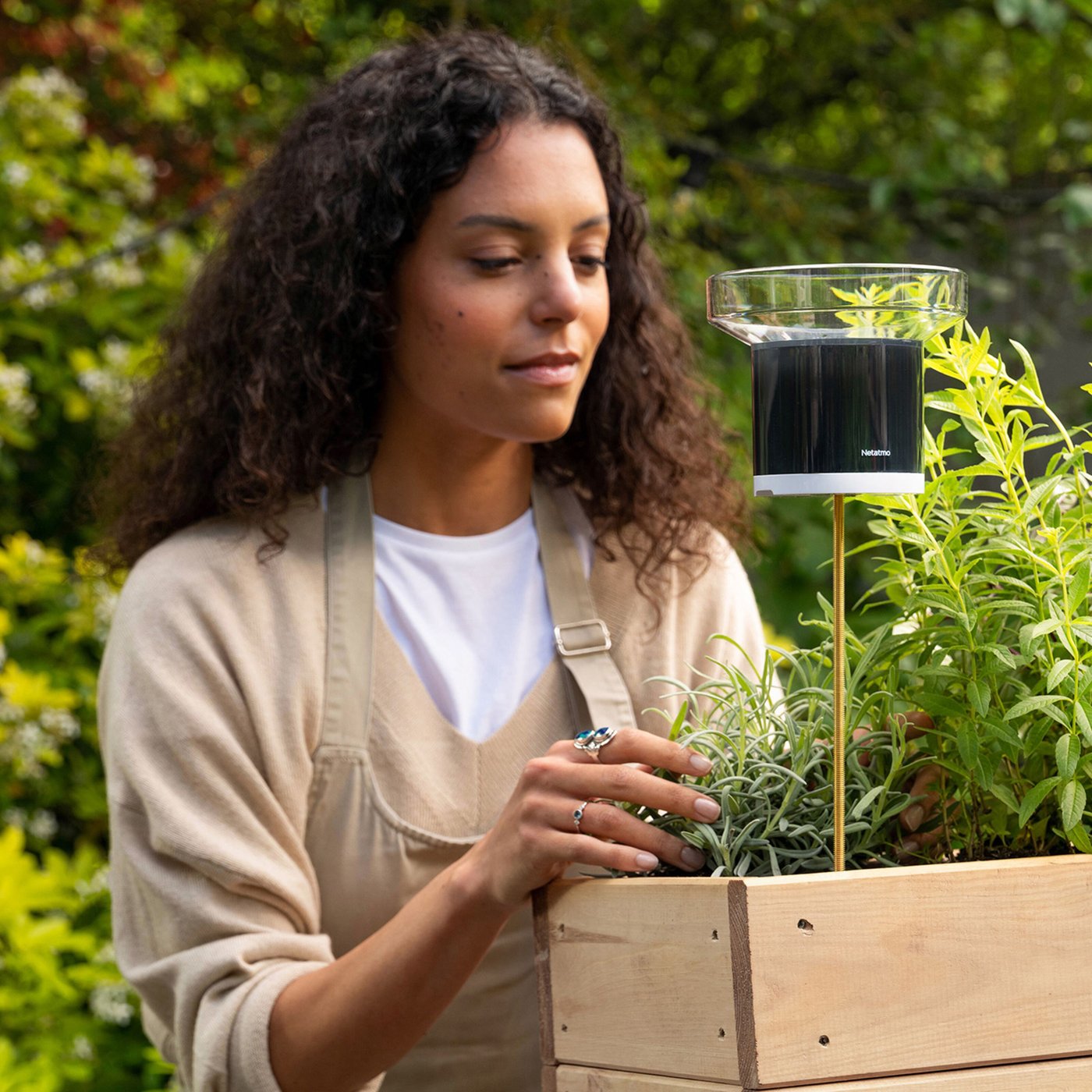 Netatmo Regnsensor för Netatmo väderstation