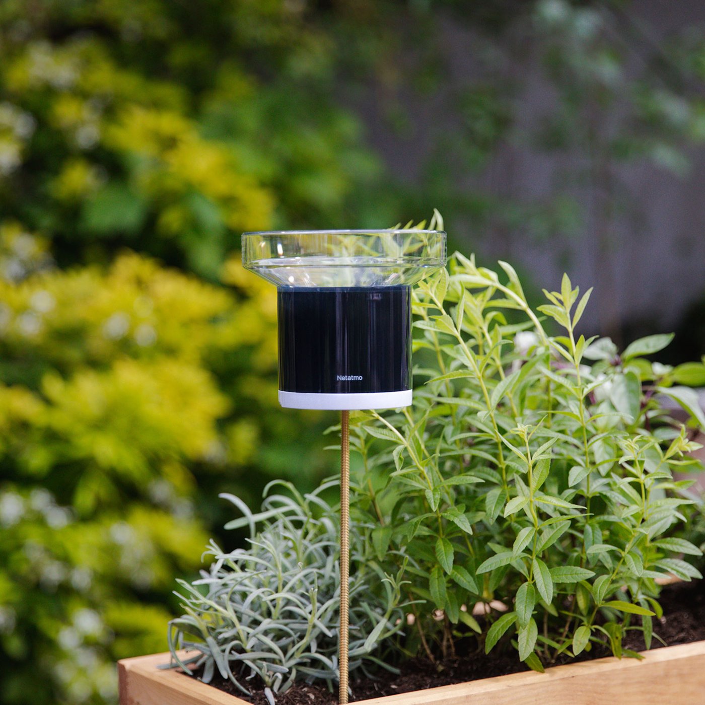 Netatmo Regnsensor för Netatmo väderstation