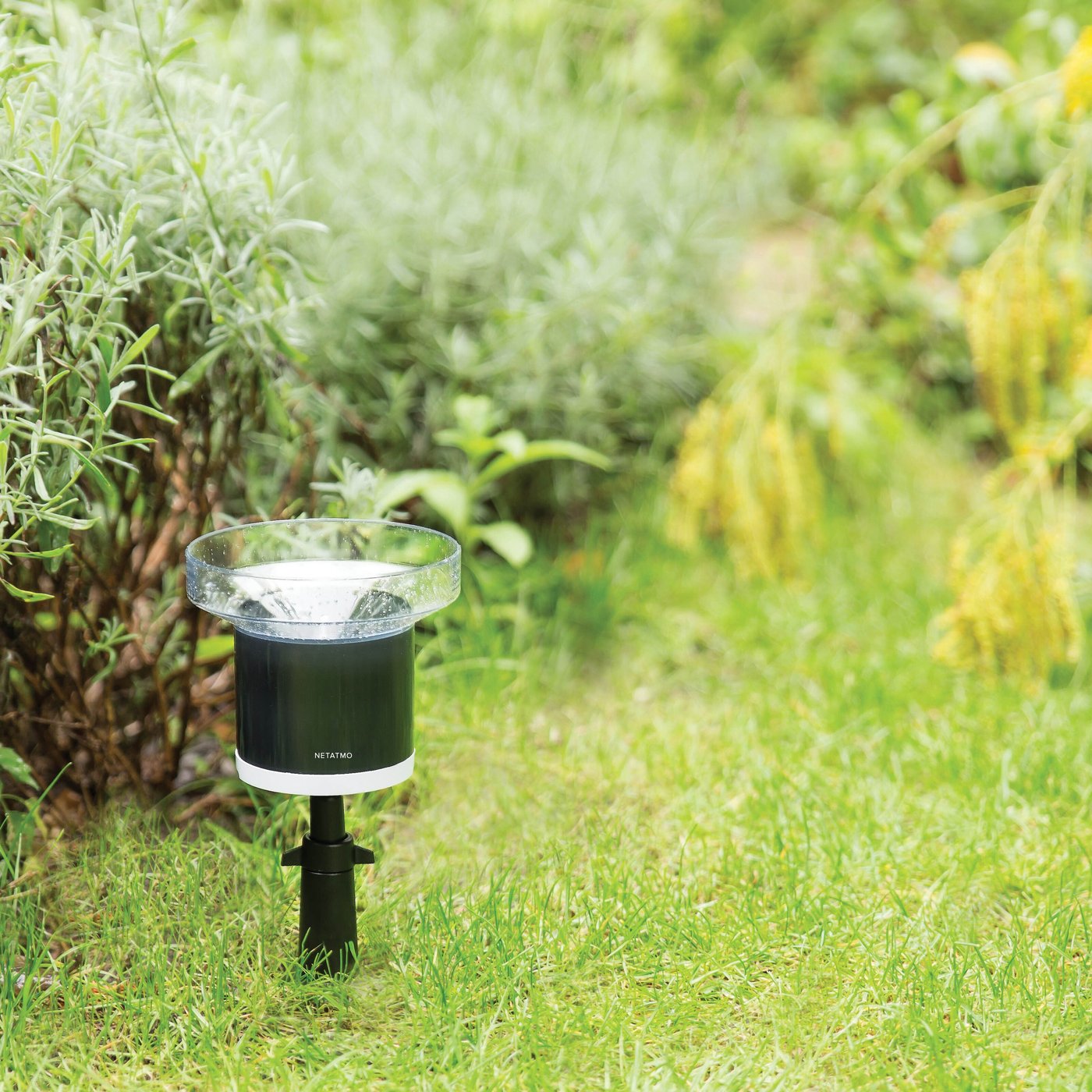 Netatmo Regnsensor för Netatmo väderstation