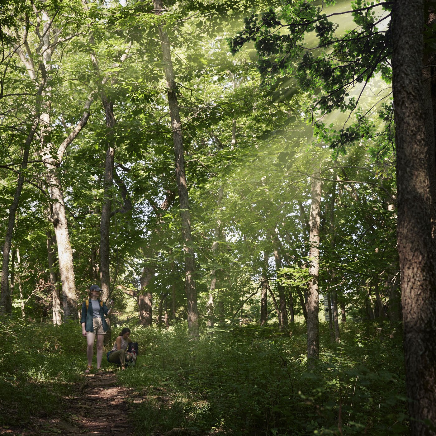 Garmin eTrex Solar GPS-navigator med solenergiladdning