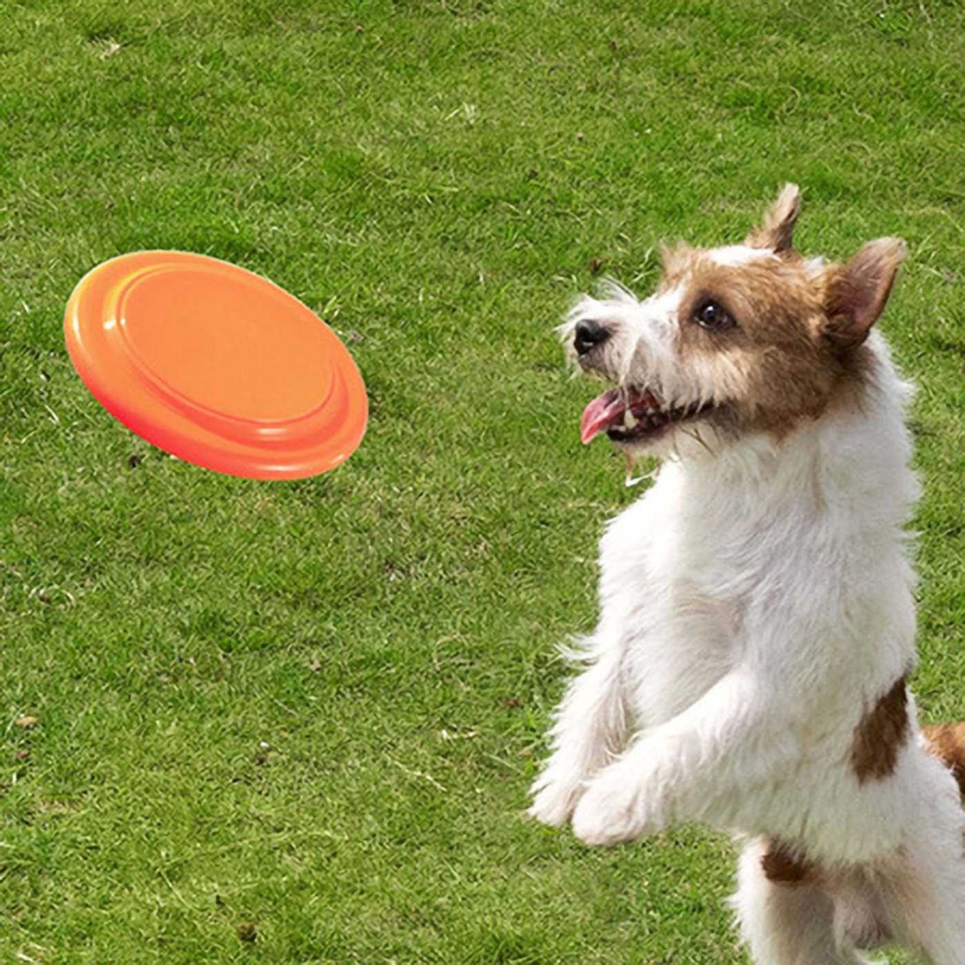 Eufy EufyCam 3C Kit Övervakningssystem 3 kameror