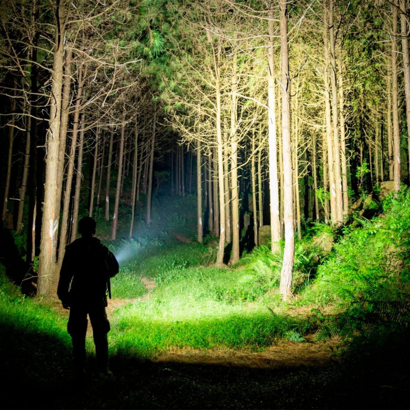 Olight Baton 4 Lommelykt 1300 lm