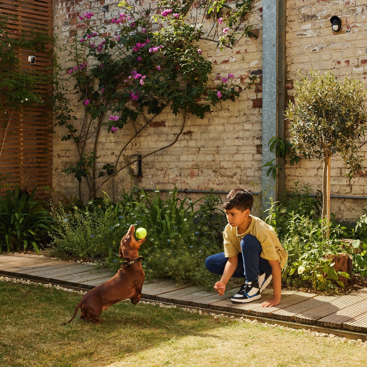 Yale Rörelsesensor för utomhusbruk