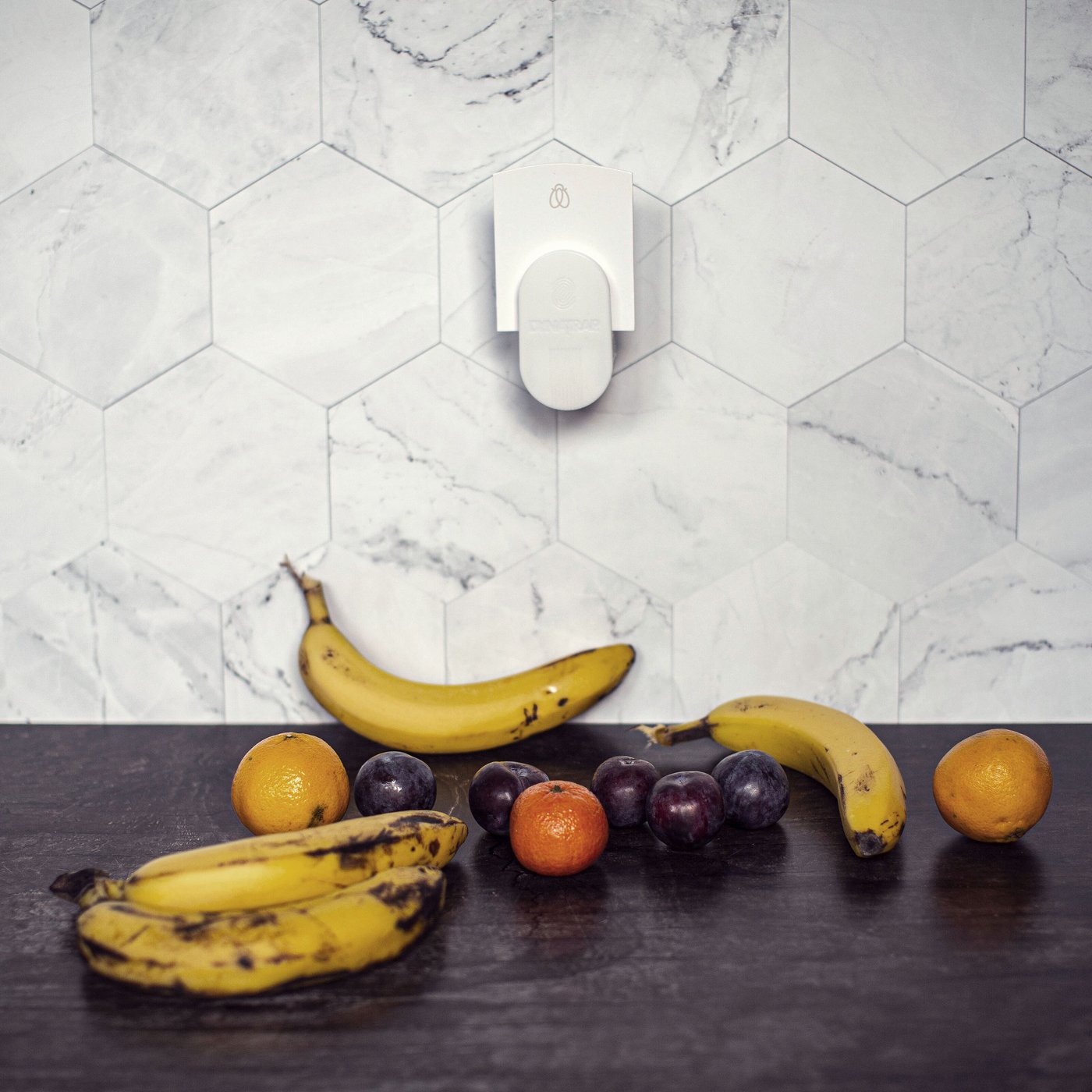 Dynatrap Fälla för bananflugor