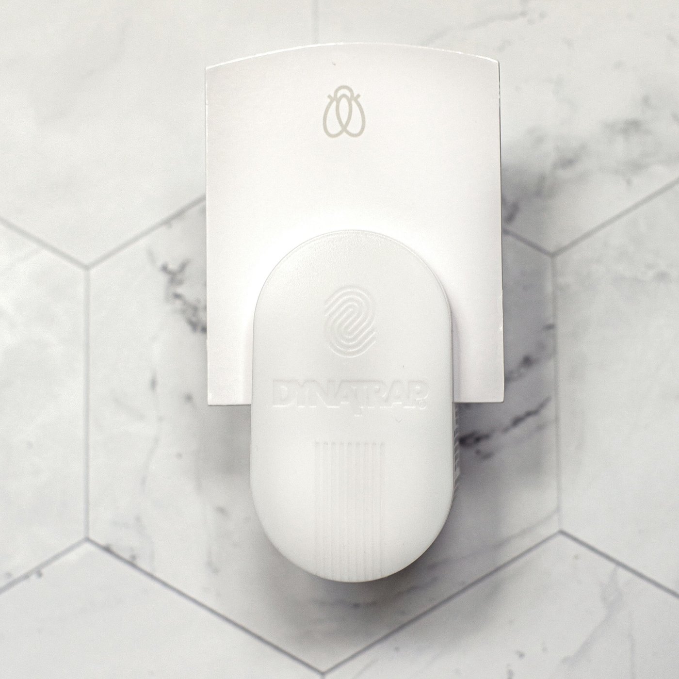 Dynatrap Fälla för bananflugor