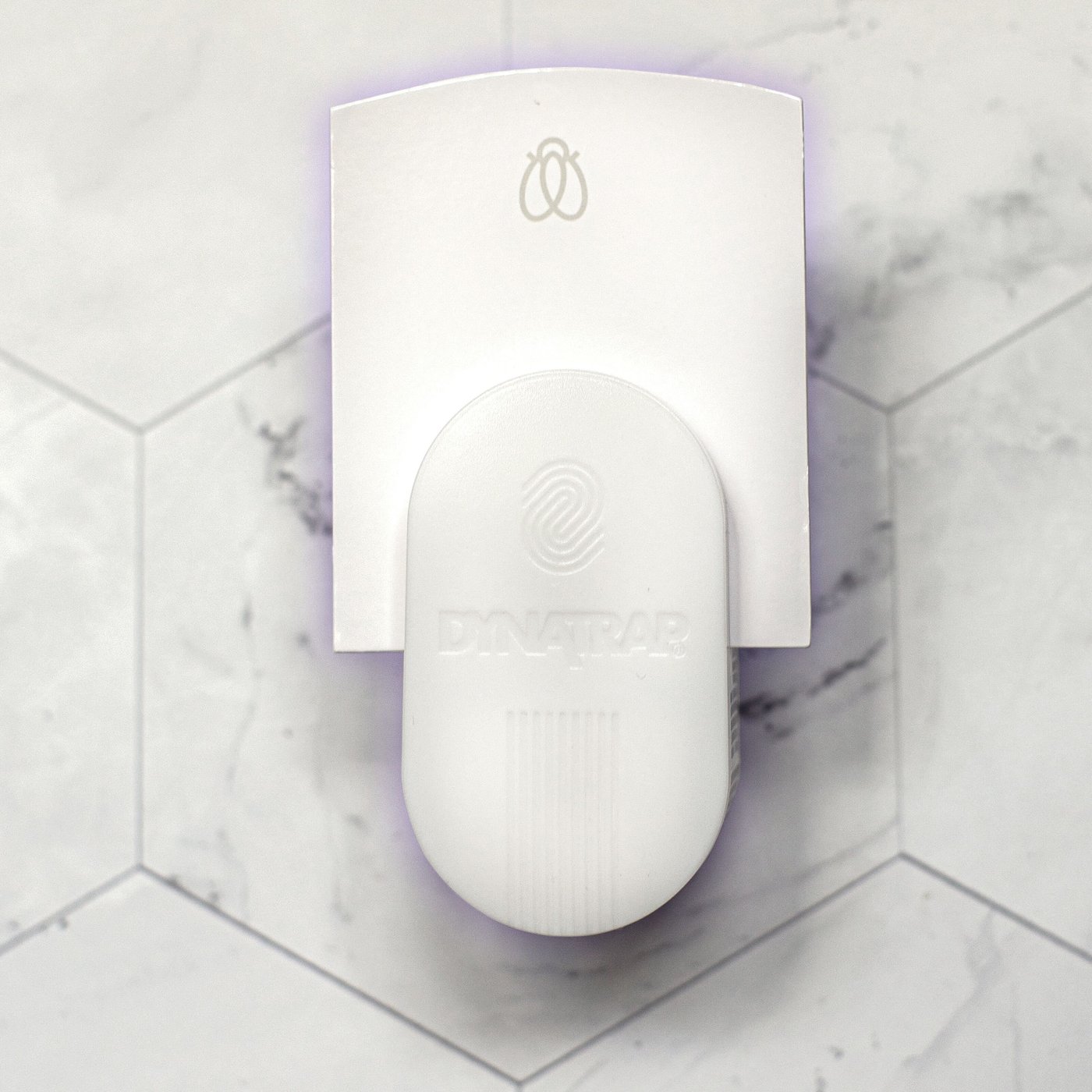 Dynatrap Fälla för bananflugor