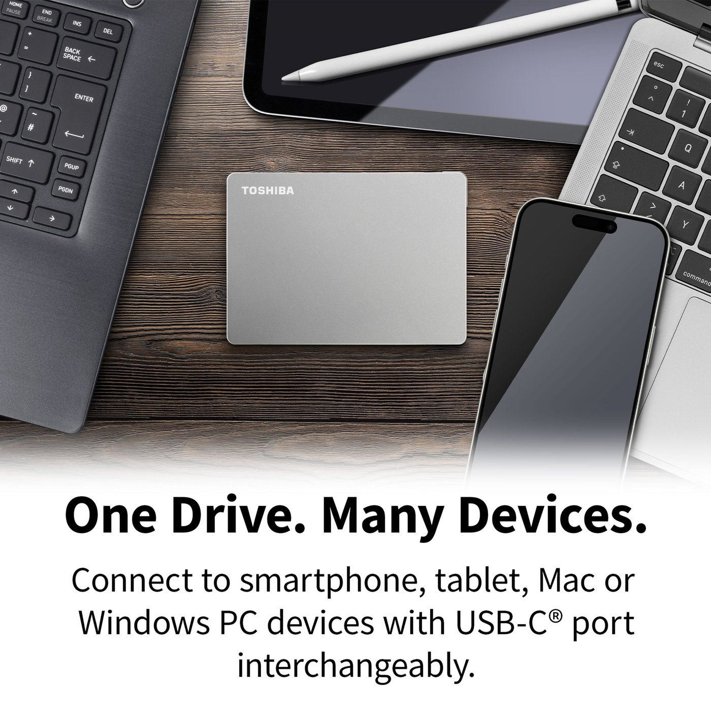 Toshiba Canvio Flex Silver 1 TB