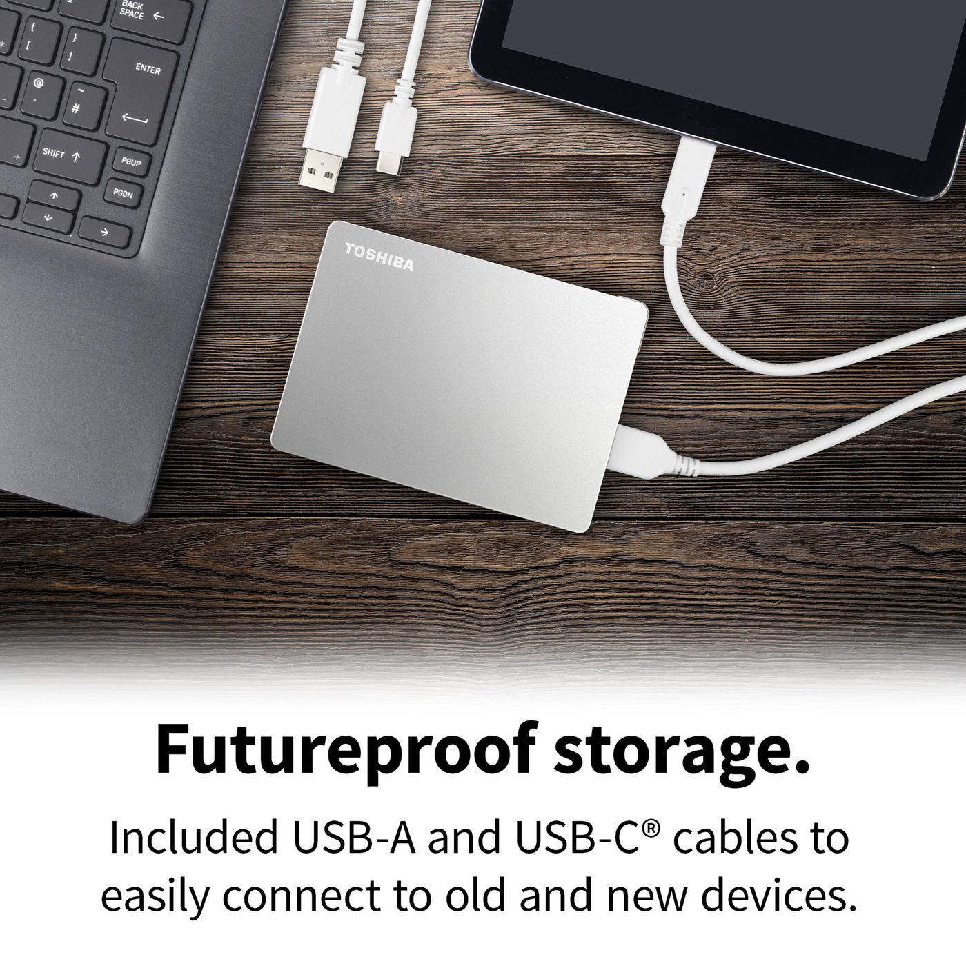 Toshiba Canvio Flex Silver 1 TB