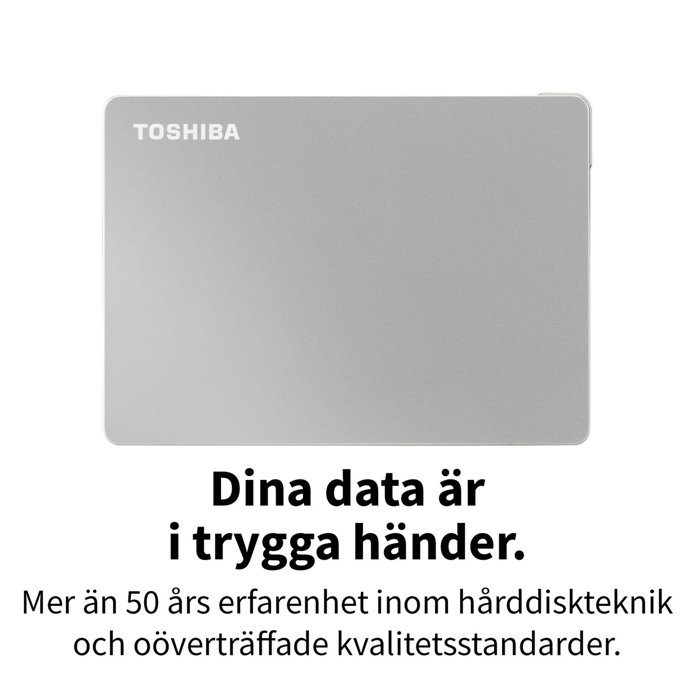 Toshiba Canvio Flex Silver 2 TB