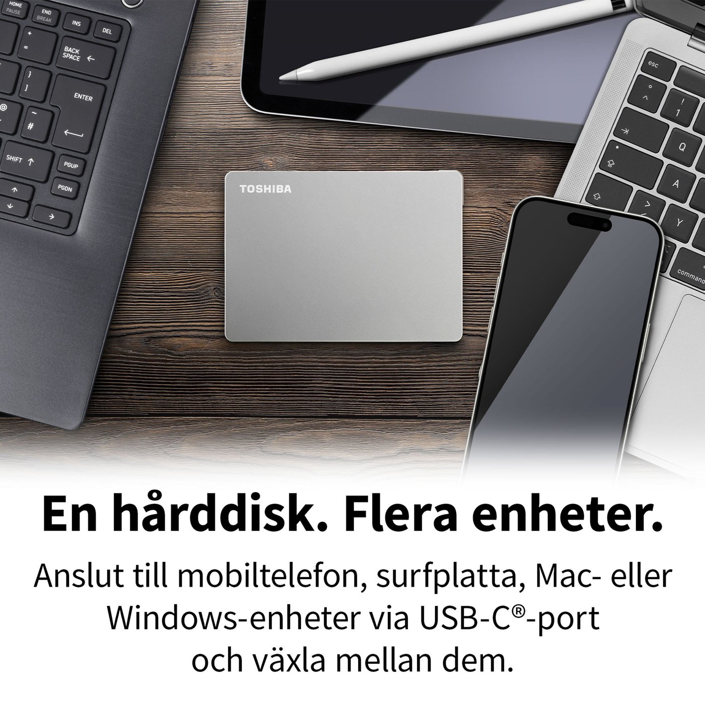 Toshiba Canvio Flex Silver 4 TB