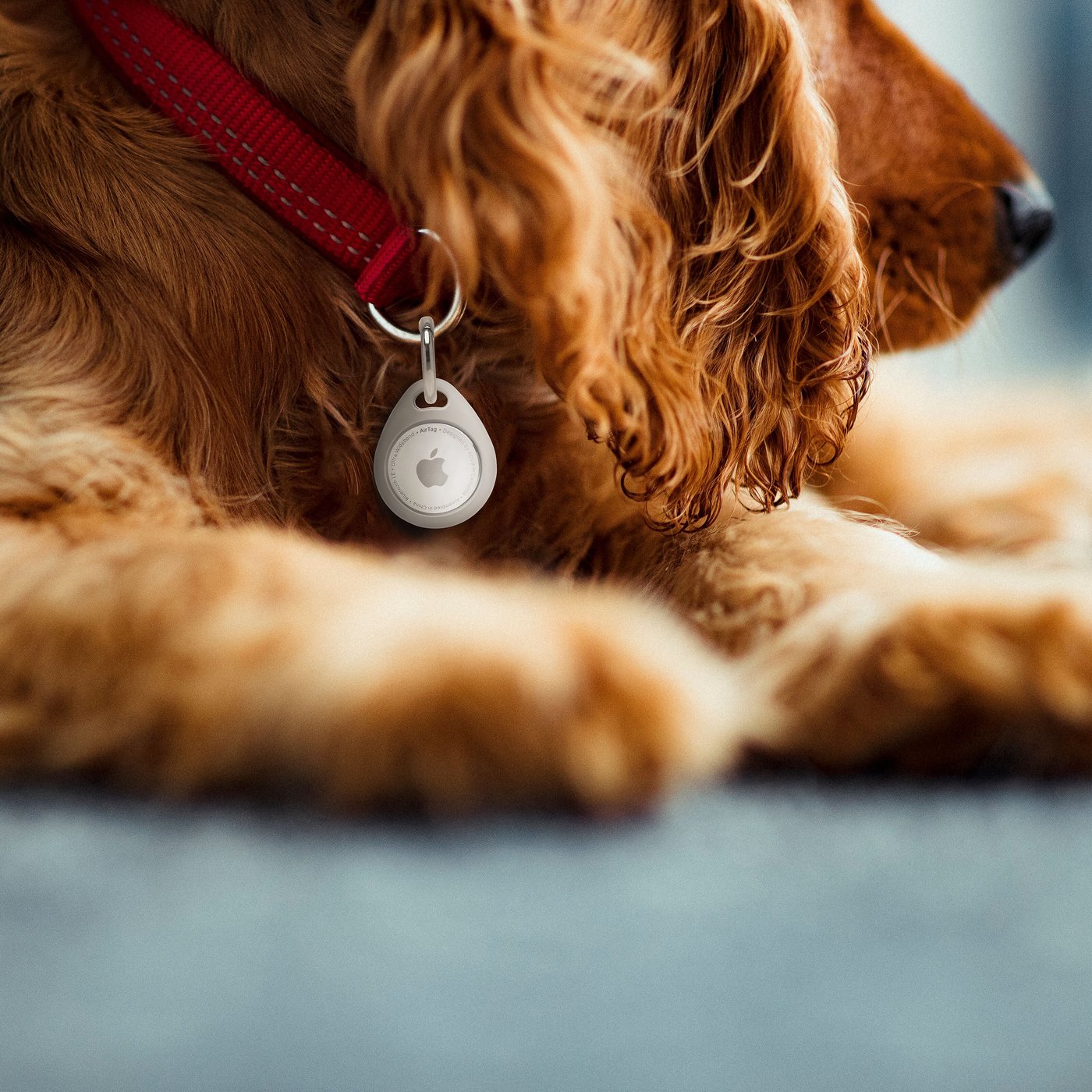 Linocell AirTag Nyckelring Grå