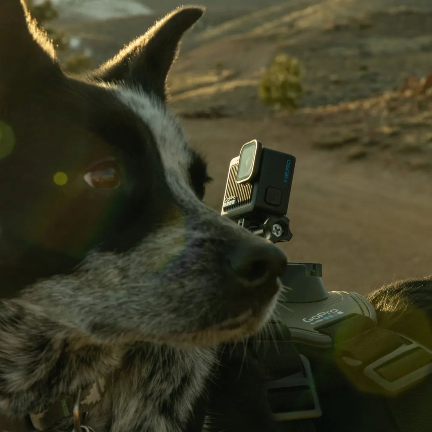 Gopro Hero 4K actionkamera