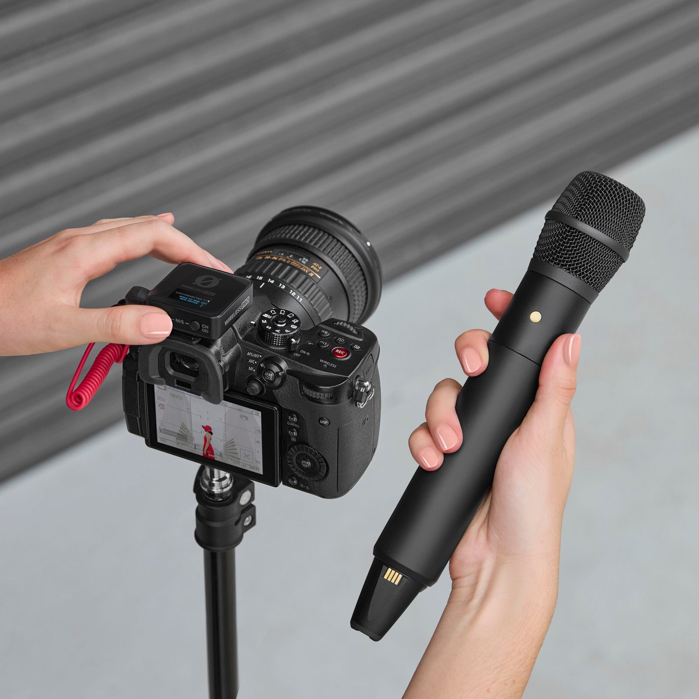 Rode Interview PRO Trådløs mikrofon