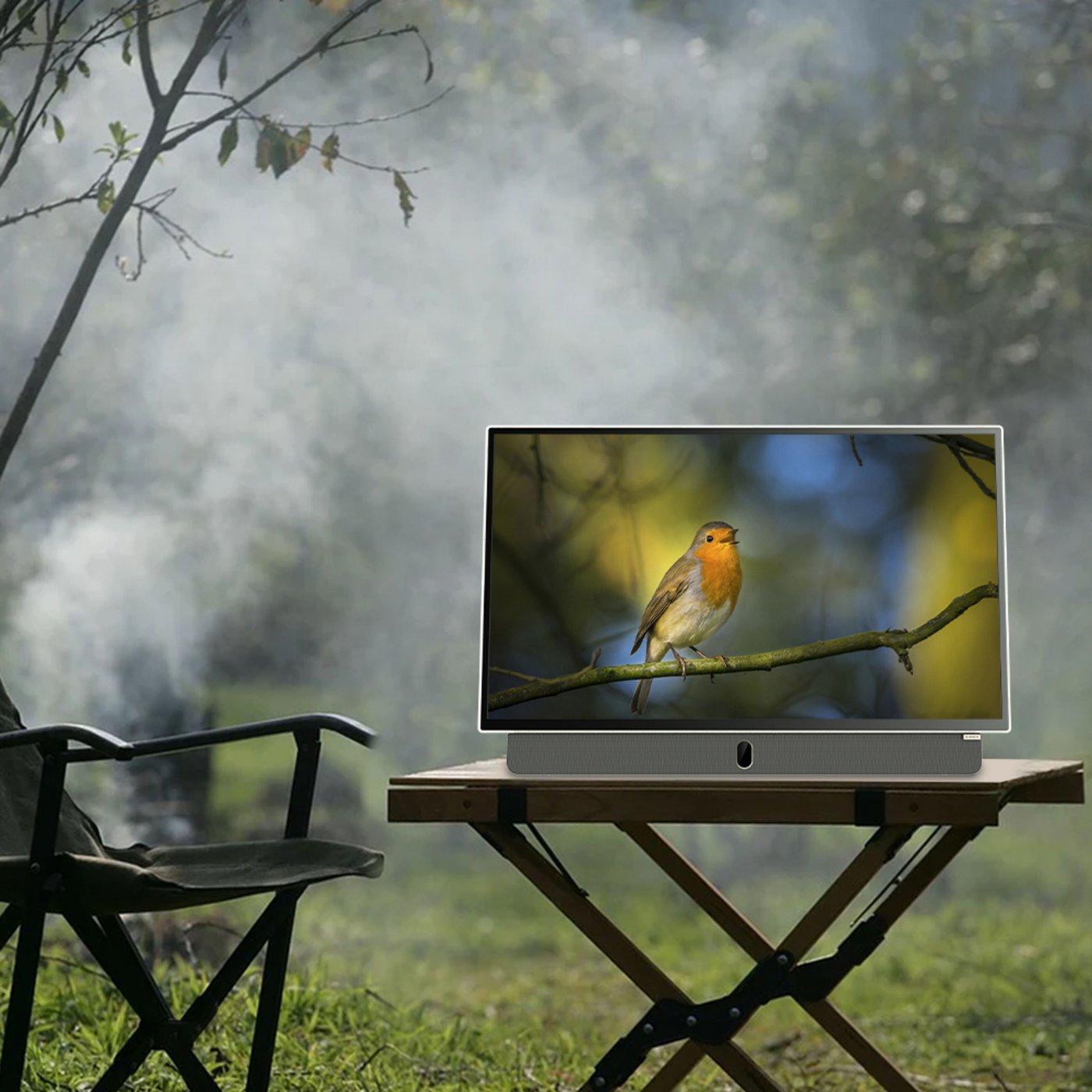 Strong METZ 24" LED Portabel TV