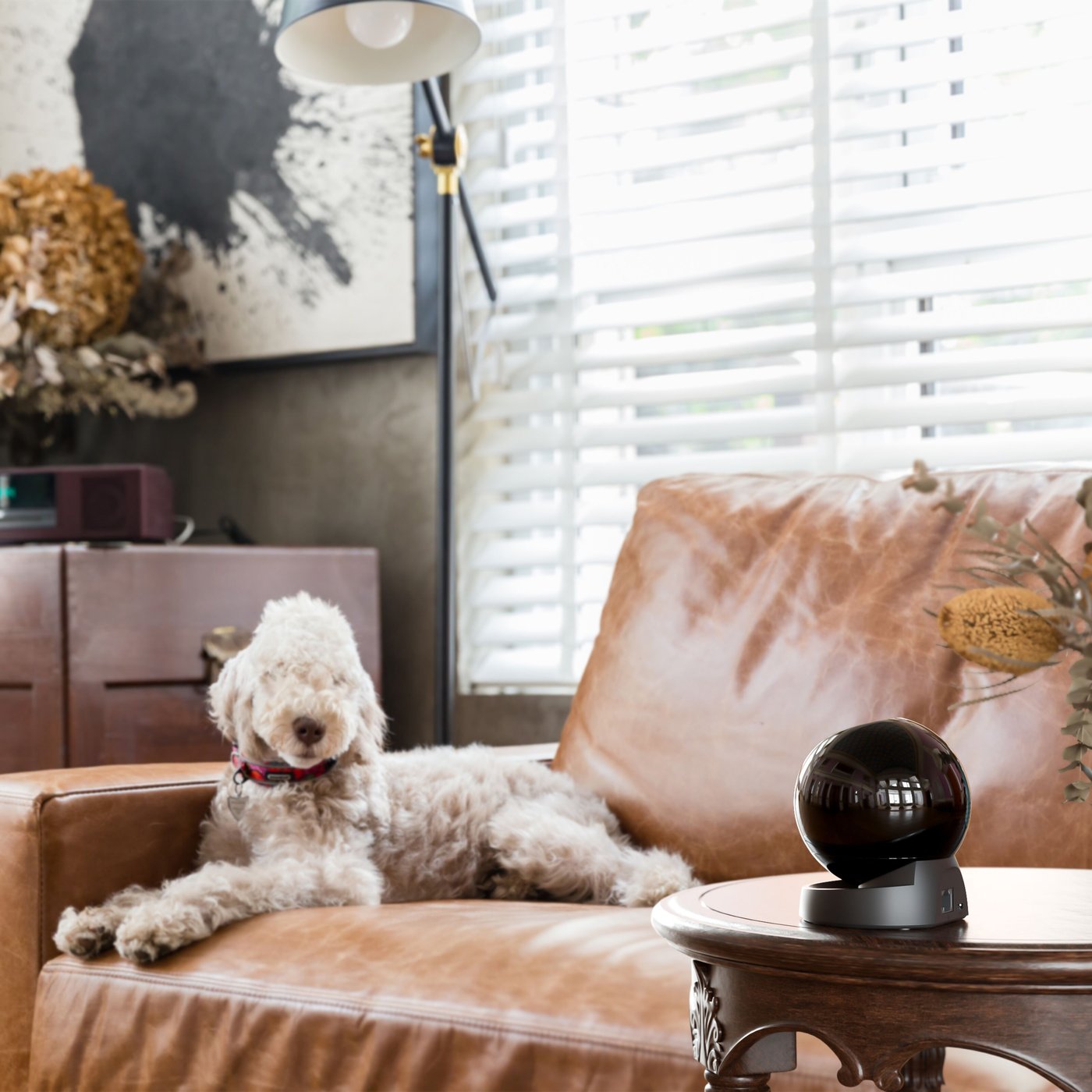 Imou Rex 3D 5 MP Trådløst innendørskamera