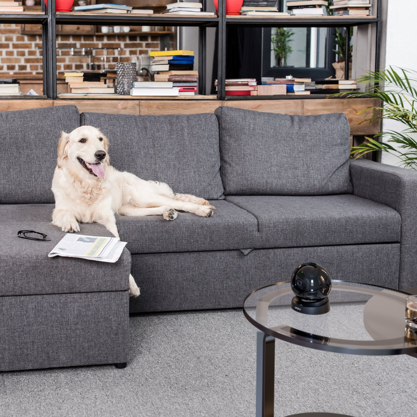 Imou Rex 3D 5 MP Trådløst innendørskamera