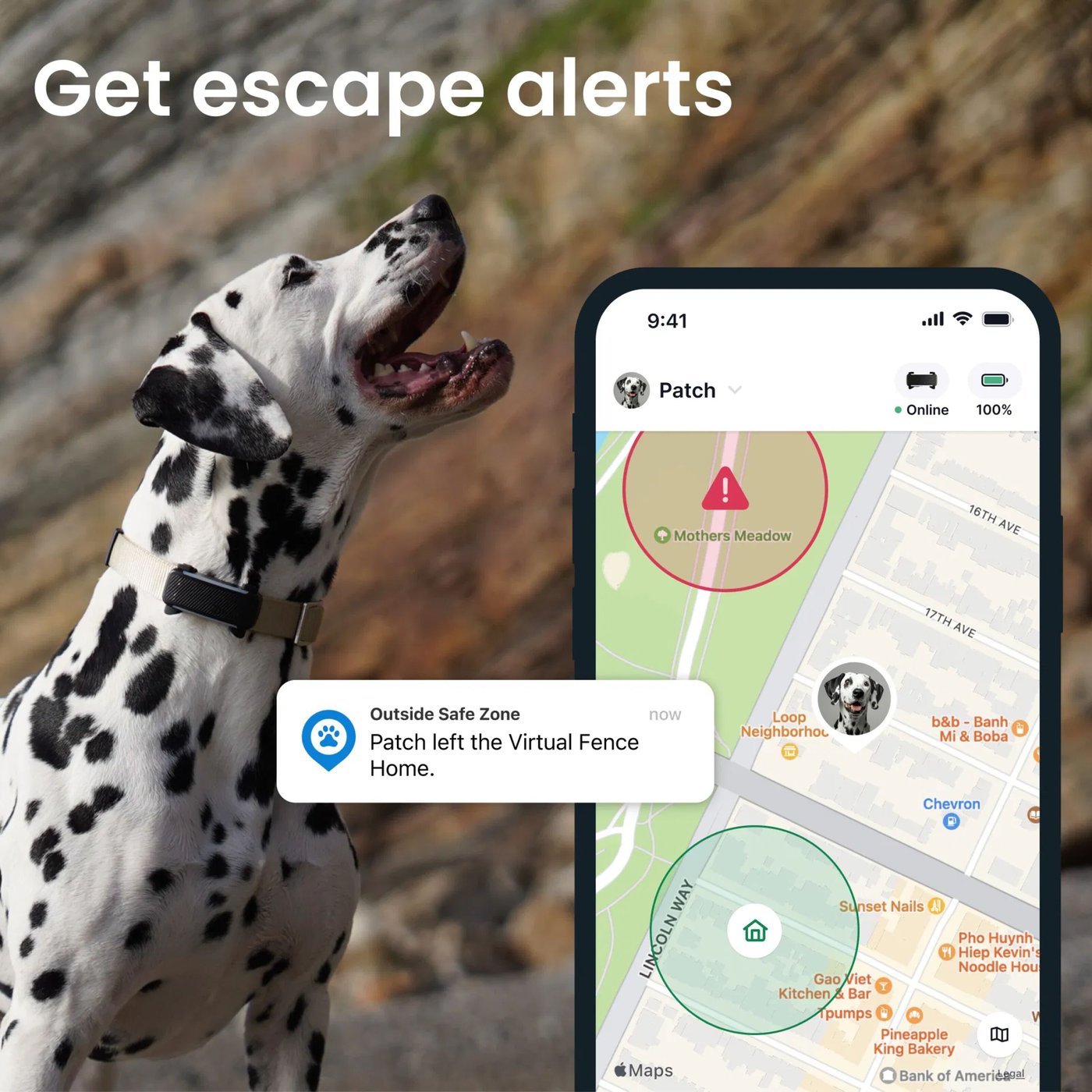 Tractive DOG 6 – Hund-GPS med hälsospårning
