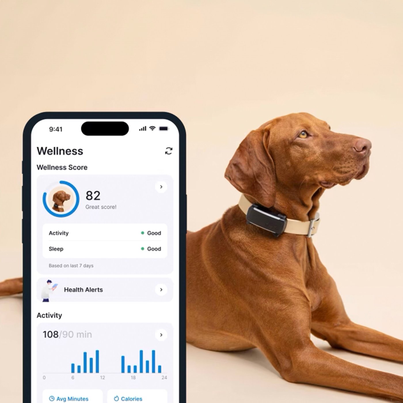 Tractive DOG 6 – Hund-GPS med hälsospårning