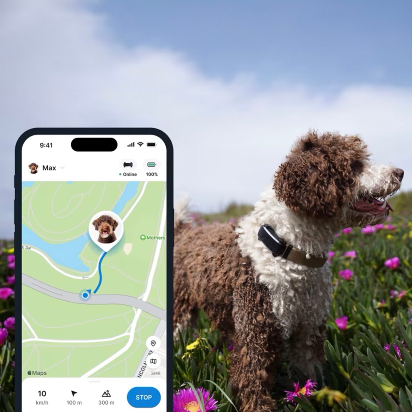 Tractive DOG 6 – Hund-GPS med hälsospårning