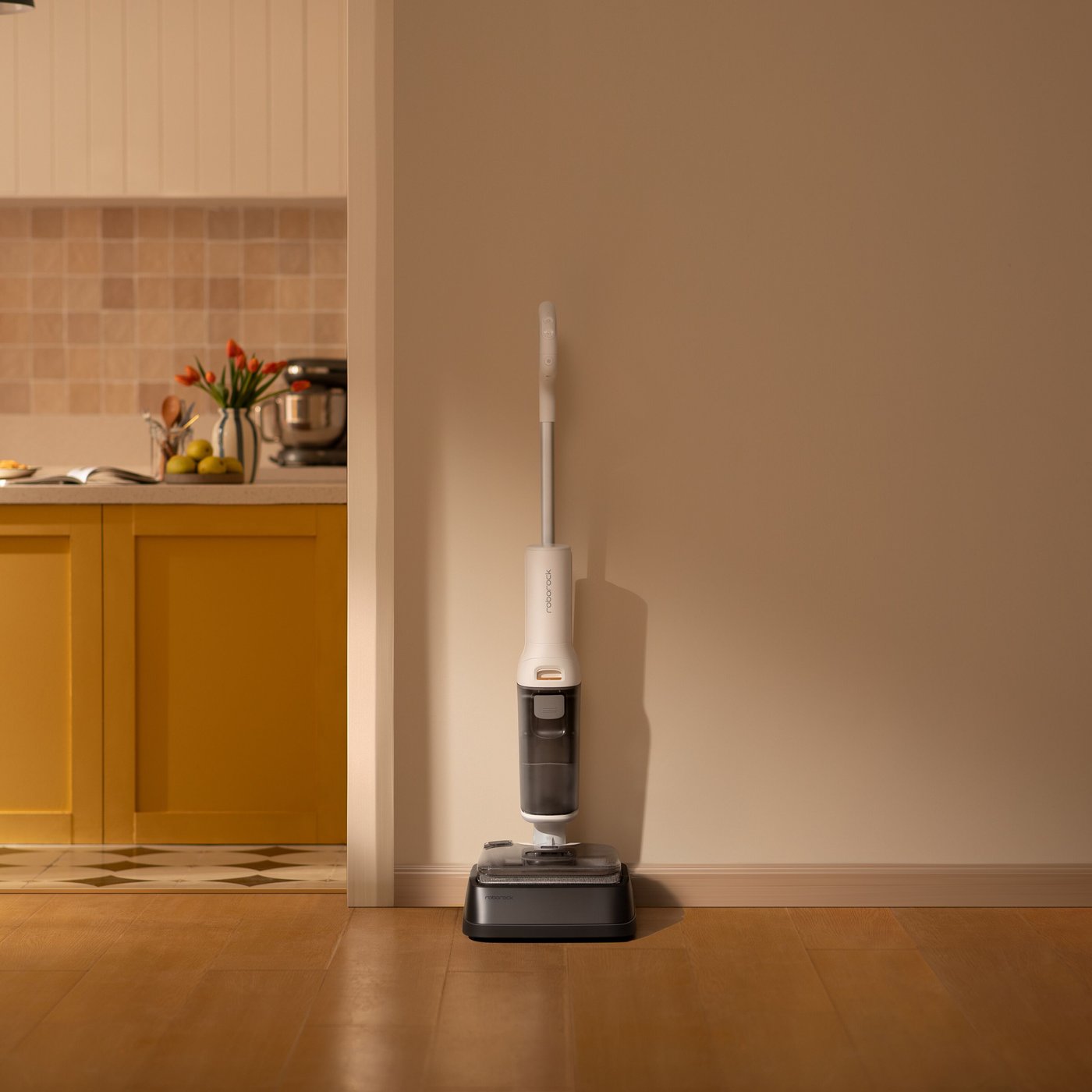 Roborock F25 RT Skaftdammsugare Vit