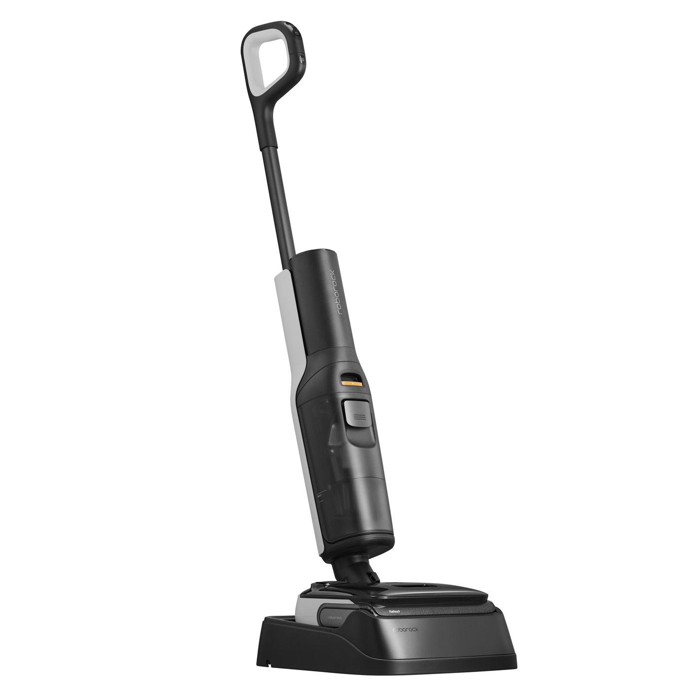 Roborock F25 Skaftdammsugare Svart