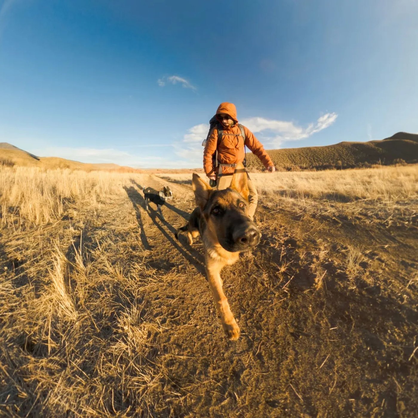 Gopro Forlengelsesarm 1.2m