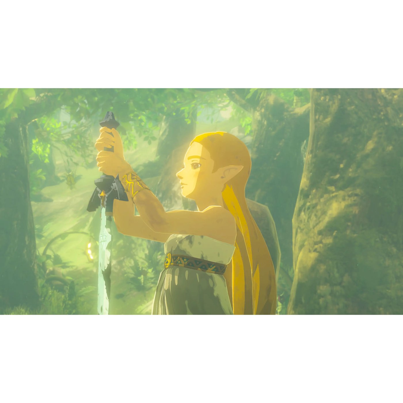 Nintendo The Legend of Zelda: Breath of the Wild - Switch 2 Edition
