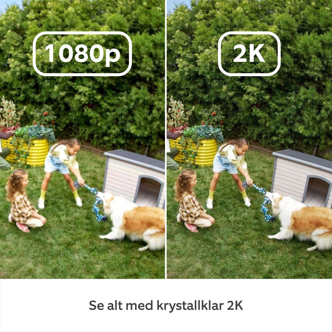 Ring Outdoor Camera Plus Battery Svart