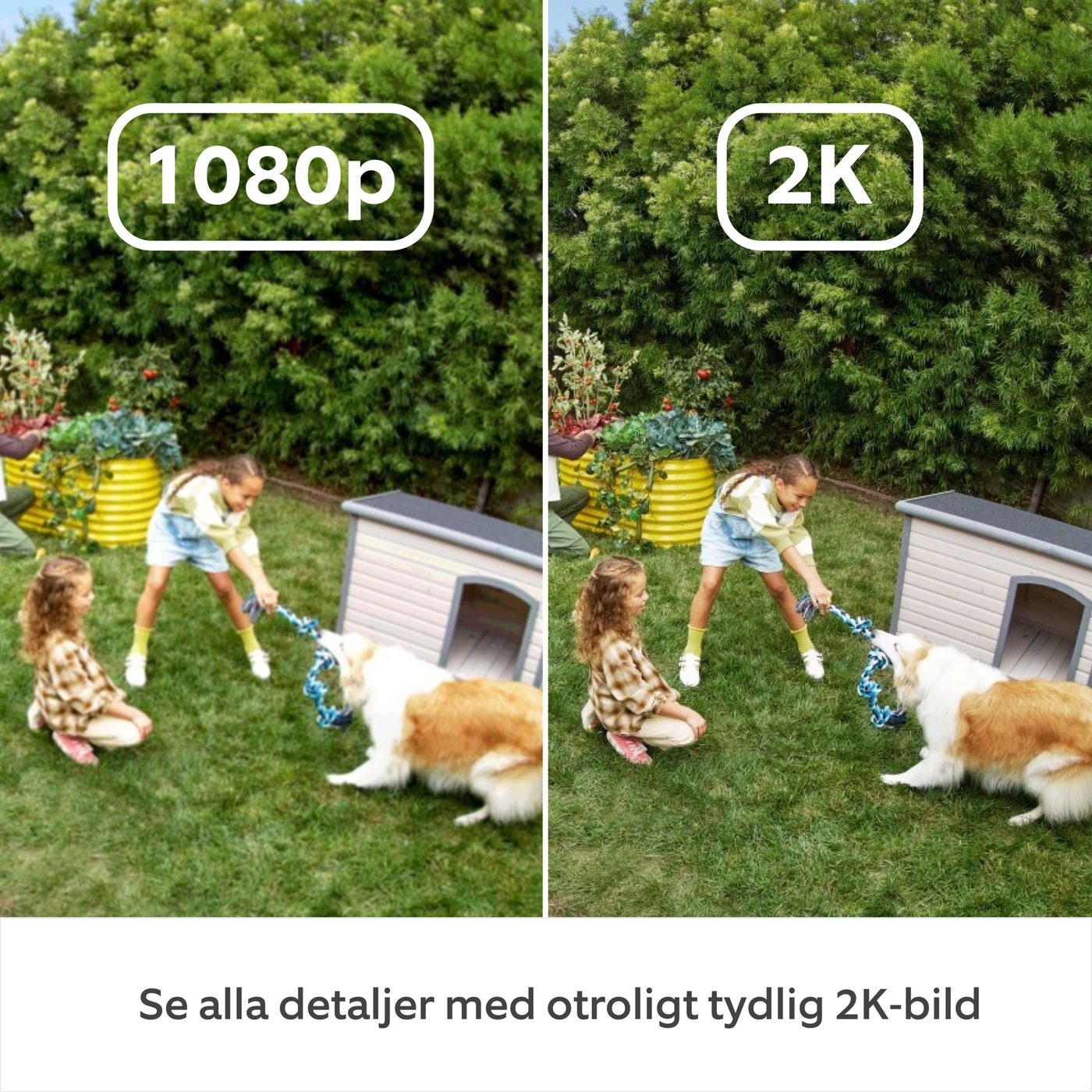 Ring Outdoor Camera Plus Battery Svart