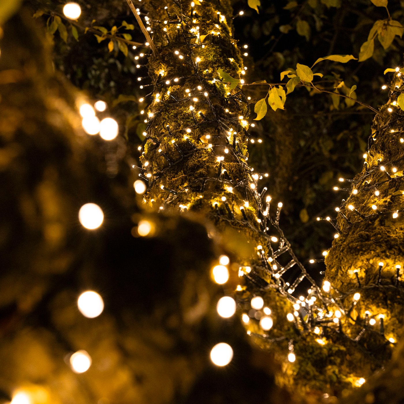 Lyslenke 48 LED 3,5 m, batteridrevet (klar)