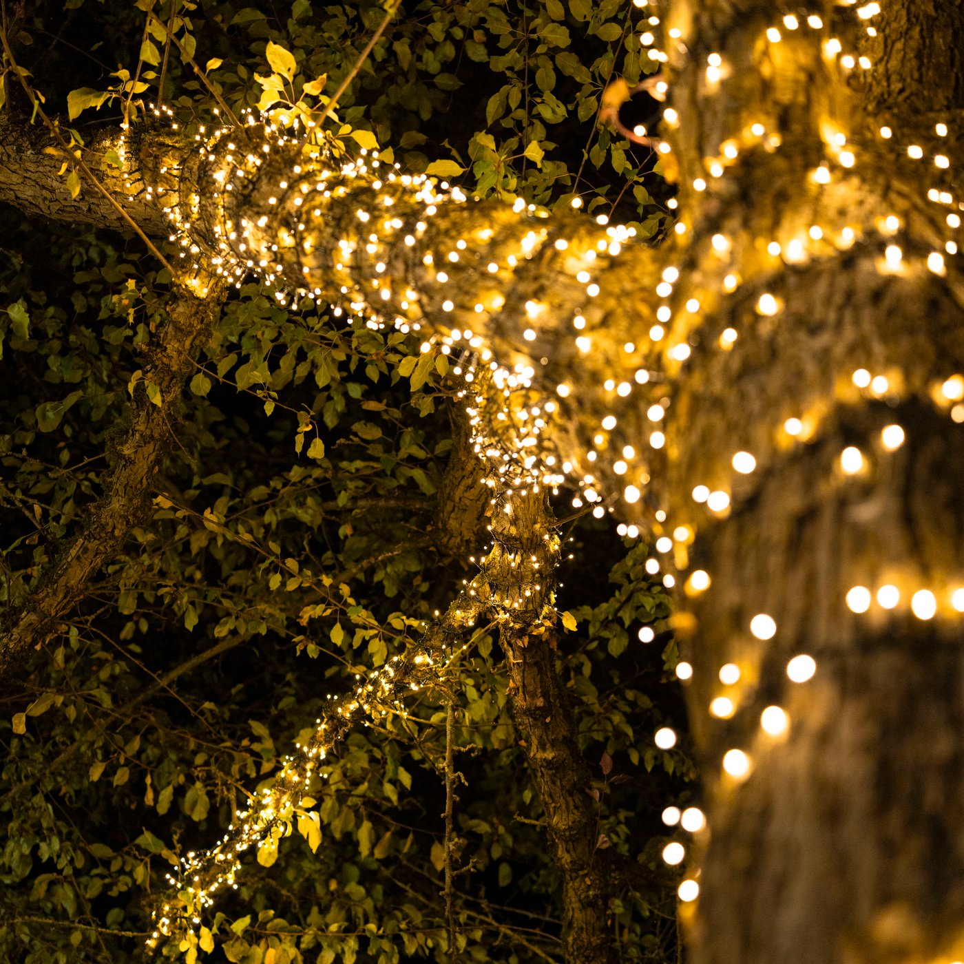 Ljusslinga 1000 LED 20 m (klar)