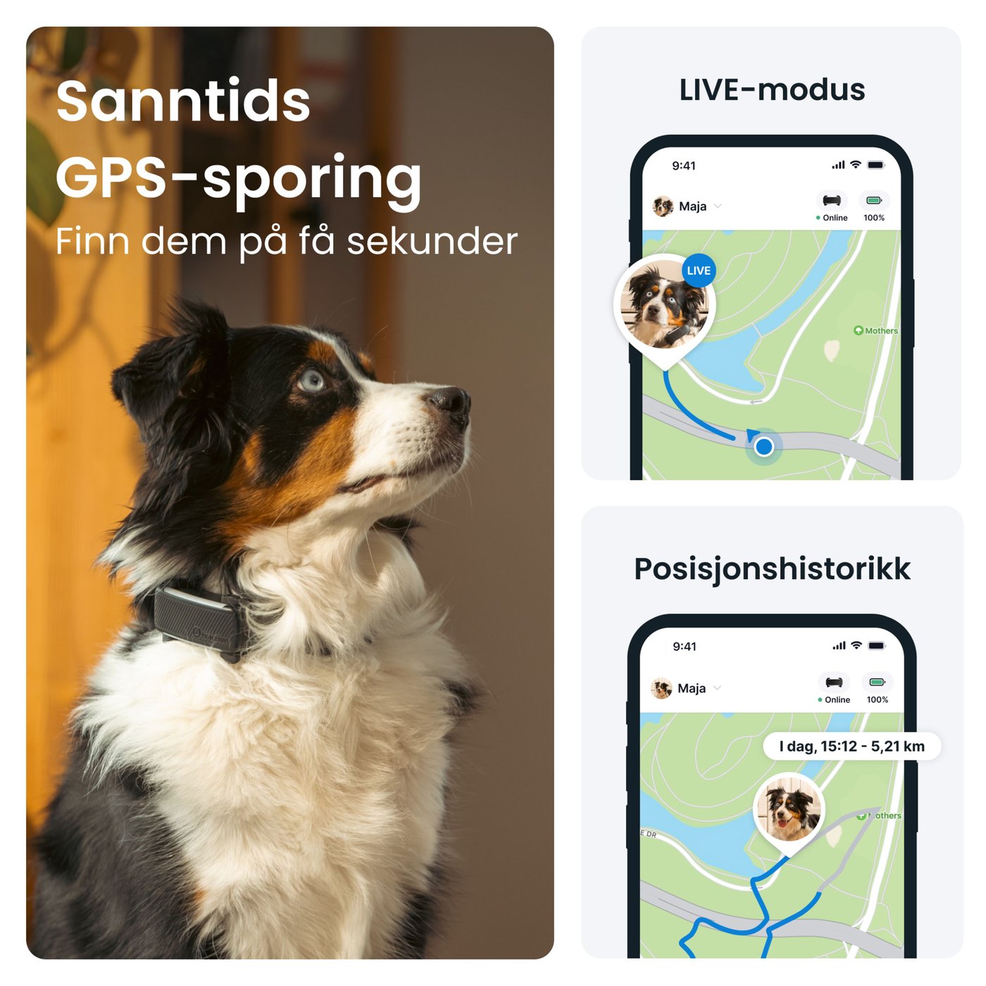 Tractive DOG 6 – GPS-hundehalsbånd og helseovervåking