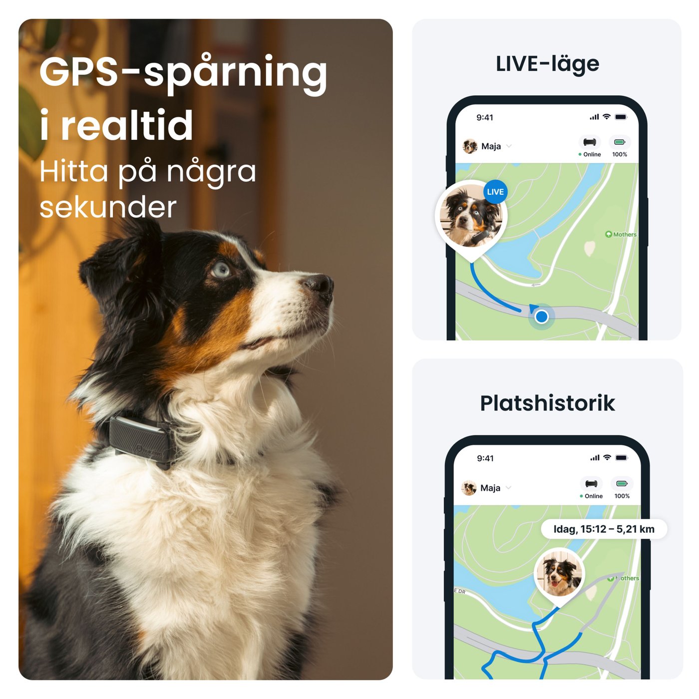 Tractive DOG 6 – Hund-GPS med hälsospårning