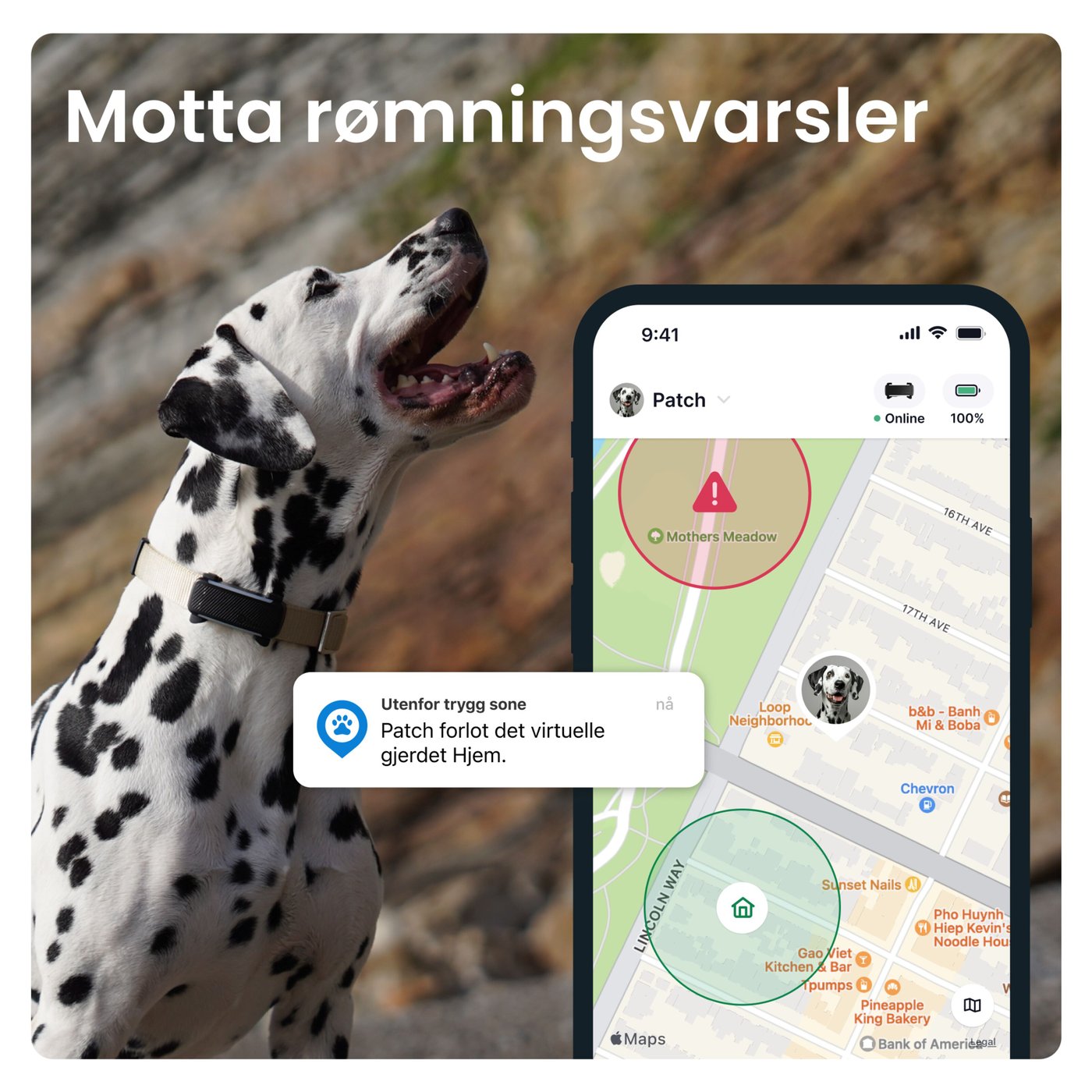 Tractive DOG 6 – GPS-hundehalsbånd og helseovervåking